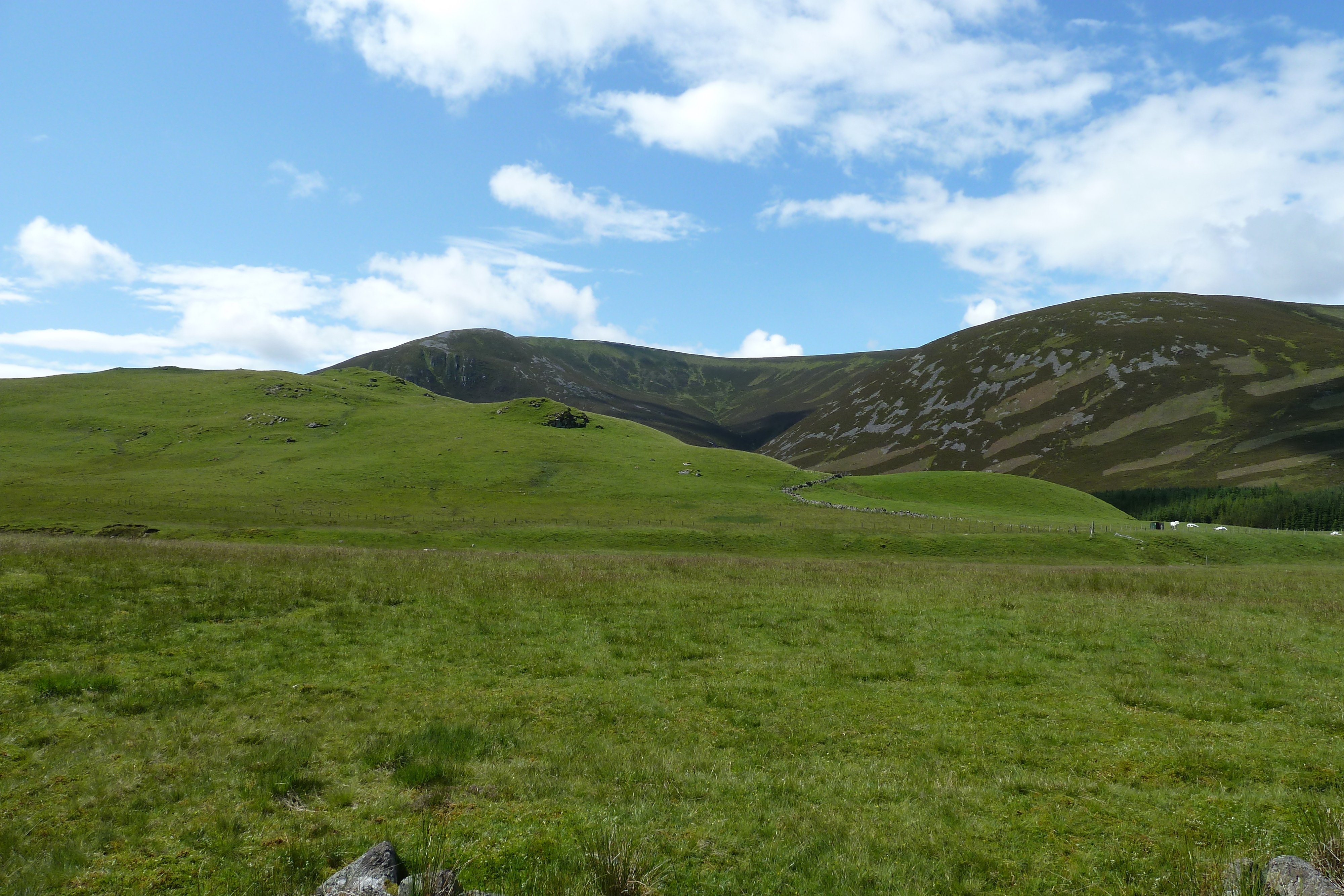 รูปถ่าย อังกฤษ(United Kingdom) อุทยานแห่งชาติแคร์นกอร์มส์(Cairngorms National Park) 2011-07 39