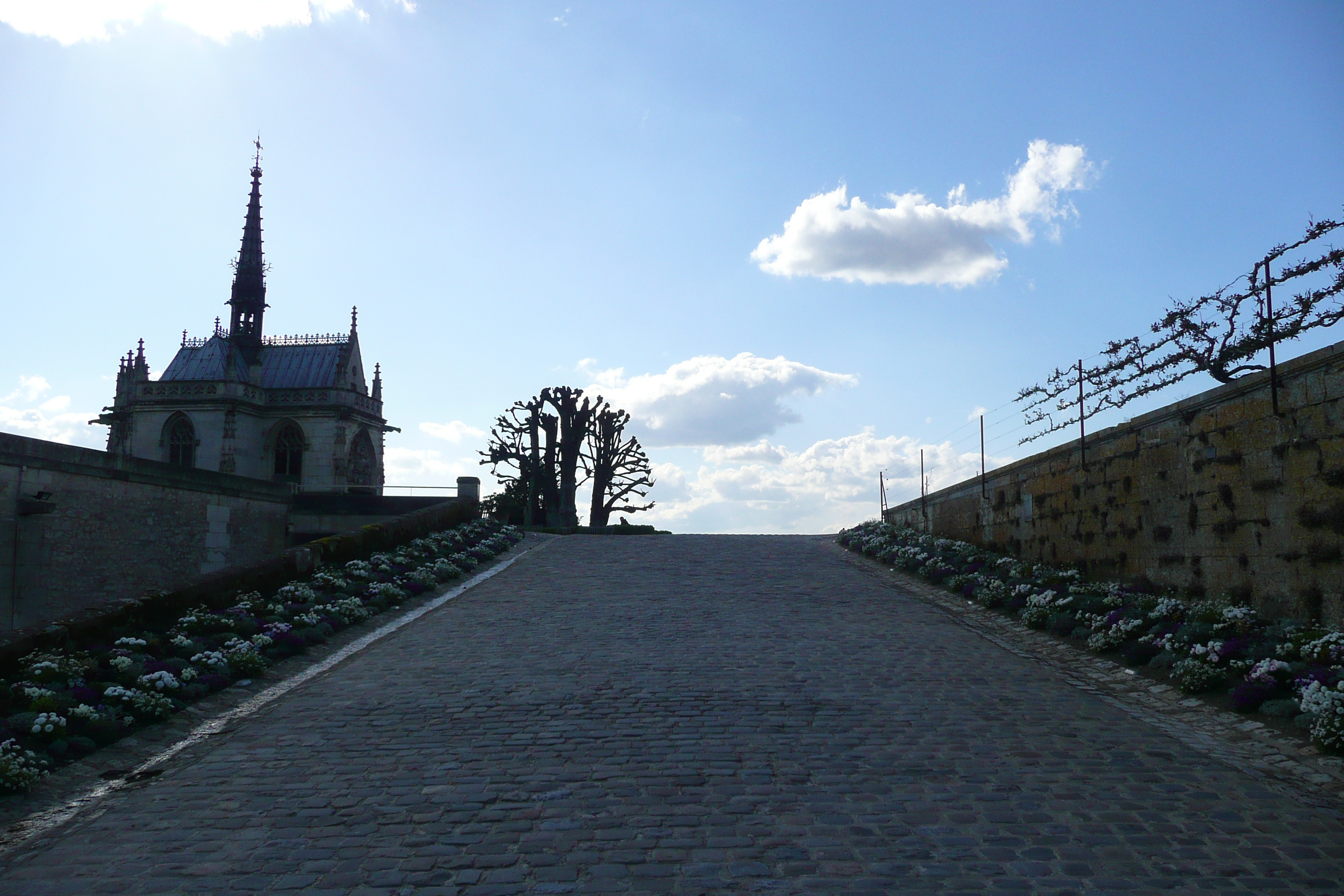 รูปถ่าย ฝรั่งเศส(France) อ็องบวซ(Amboise) 2008-04 8