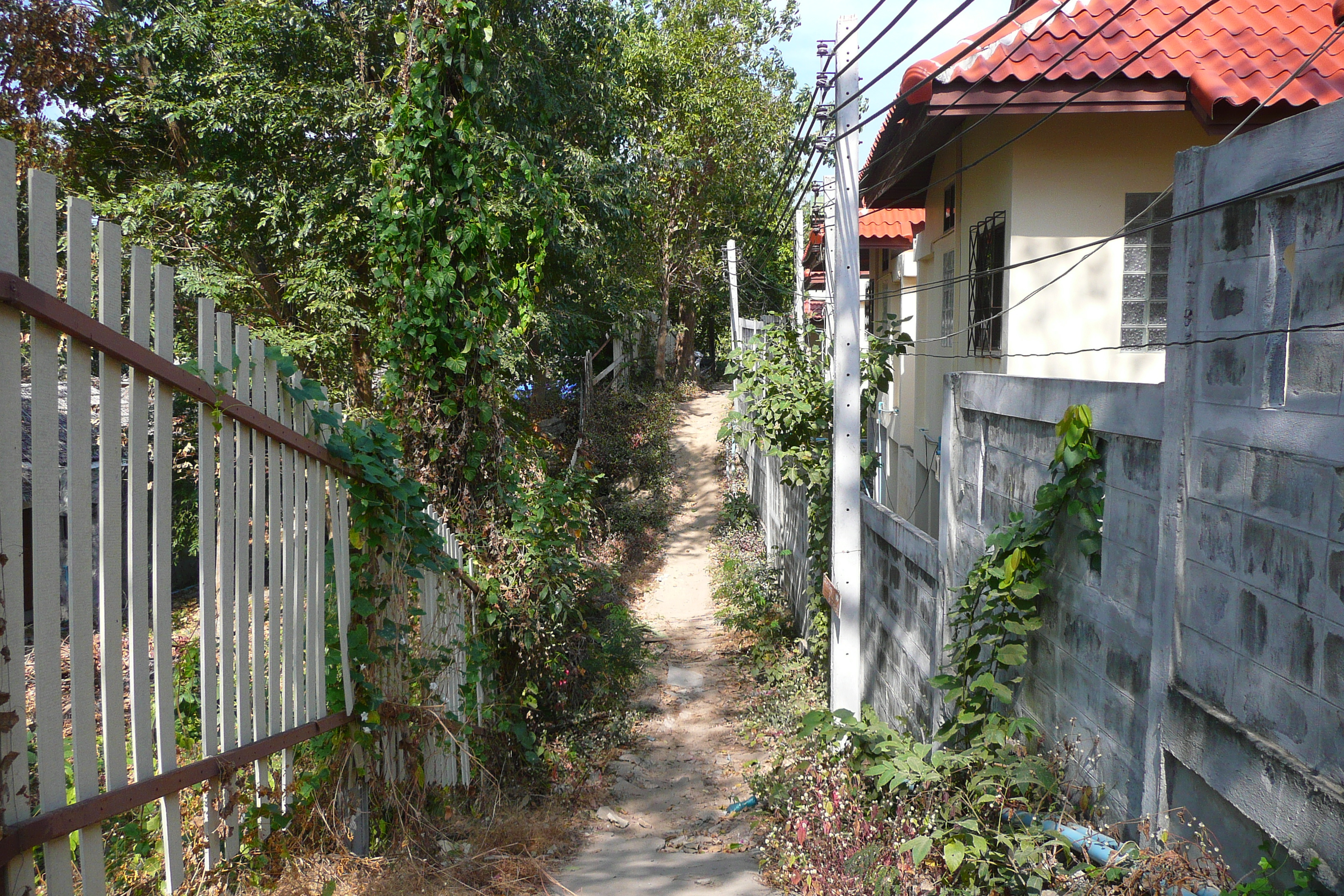 รูปถ่าย ไทย(Thailand) เกาะเสม็ด(Ko Samet) อ่าววงเดือน(Ao Wong Duan) 2009-01 40