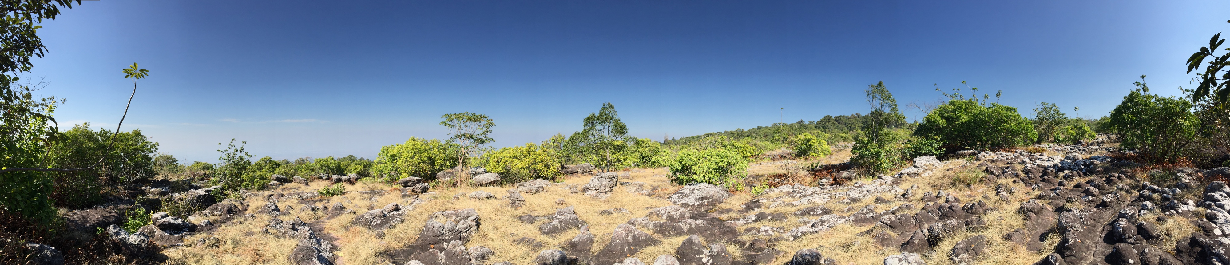 รูปถ่าย ไทย(Thailand) อุทยานแห่งชาติภูหินร่องกล้า(Phu Hin Rong Kla National Park) 2014-12 421