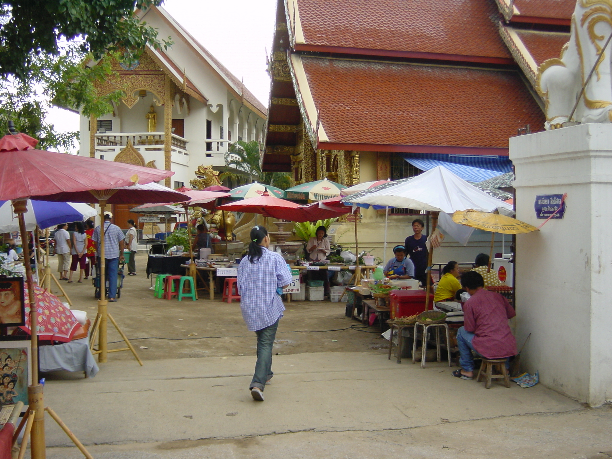 รูปถ่าย ไทย(Thailand) เชียงใหม่(Chiang Mai) 2003-07 15