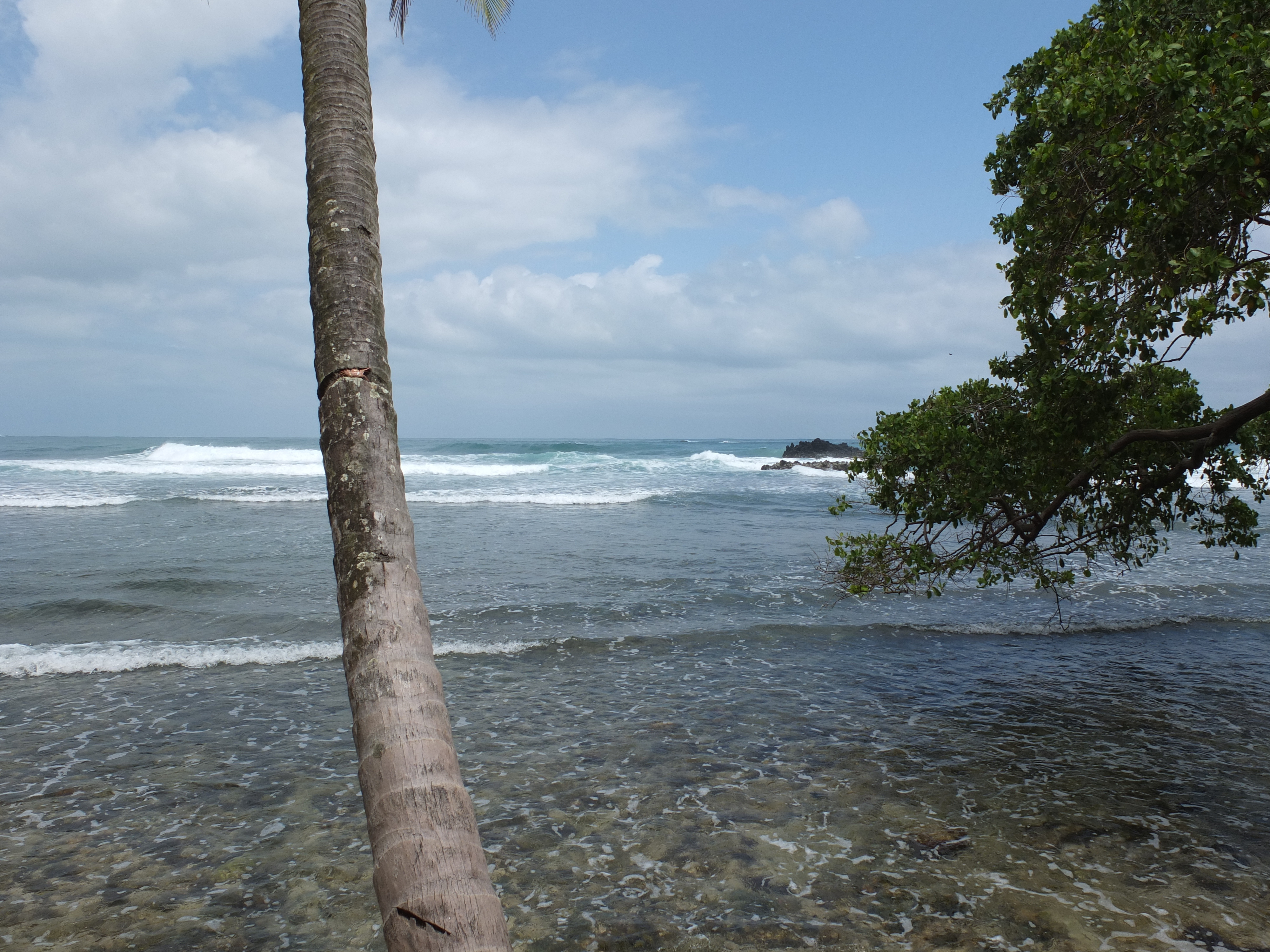 รูปถ่าย ปานามา(Panama) เกาะบาสติเมนโตส(Bastimentos) 2015-03 18