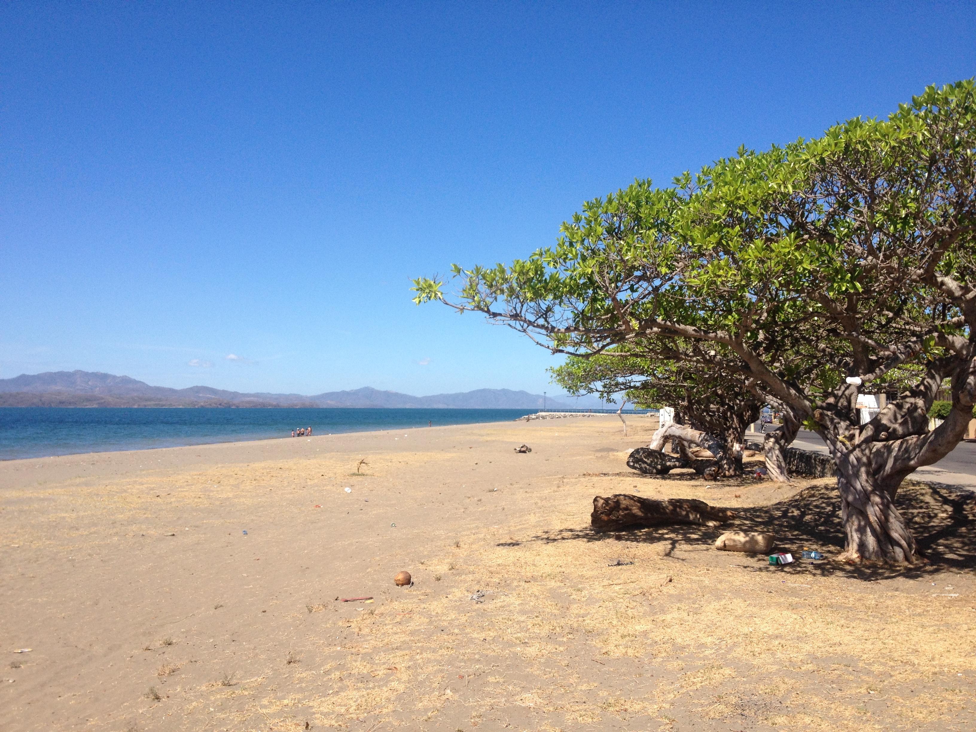 รูปถ่าย คอสตาริกา(Costa Rica) ปุนตาเรนัส(Puntarenas) 2015-03 122