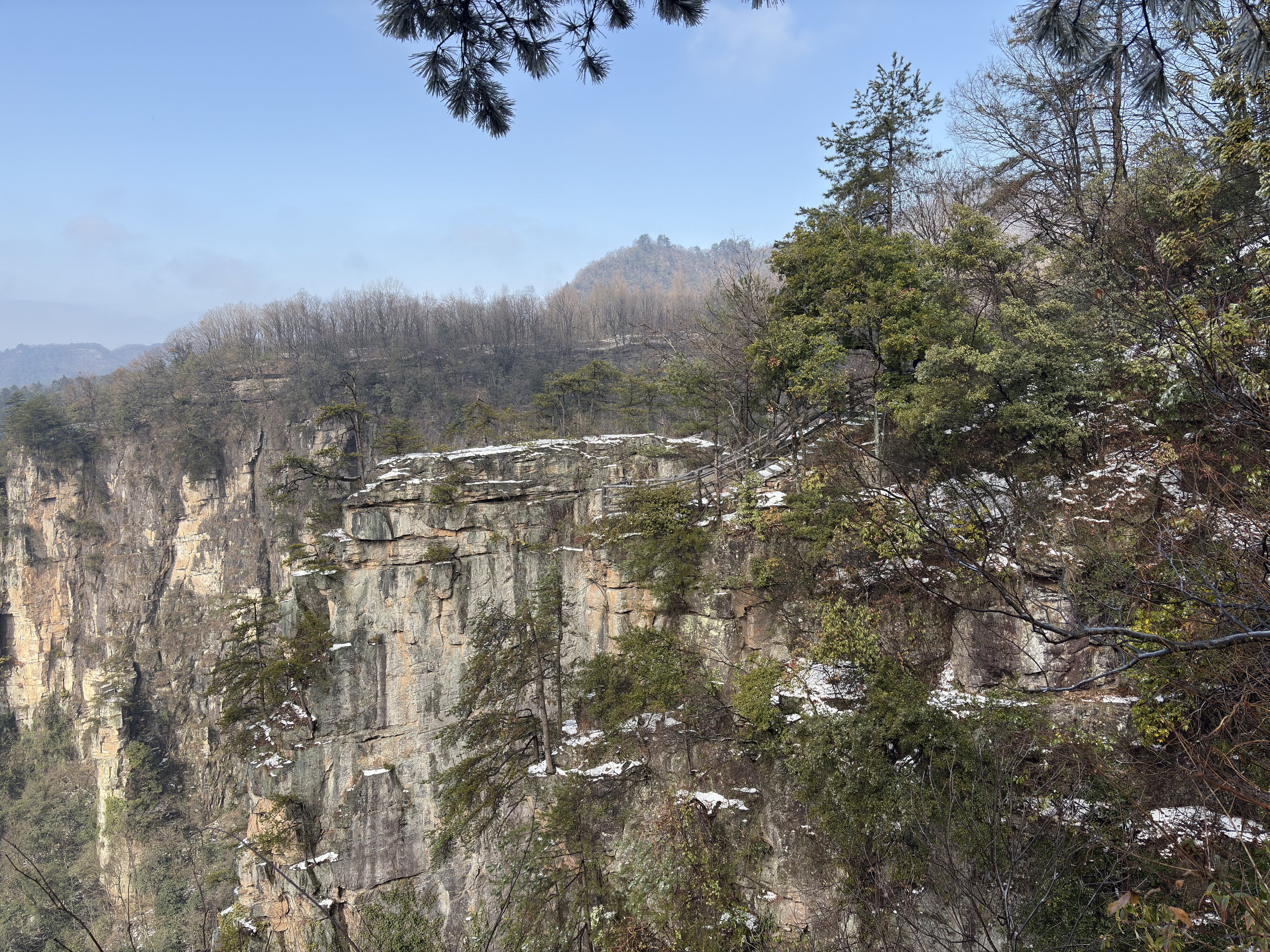 รูปถ่าย จีน(China) จางเจียเจี้ย(Zhangjiajie) ภูเขาเทียนจื่อ(Tianzi Mountain) 2026-01 286