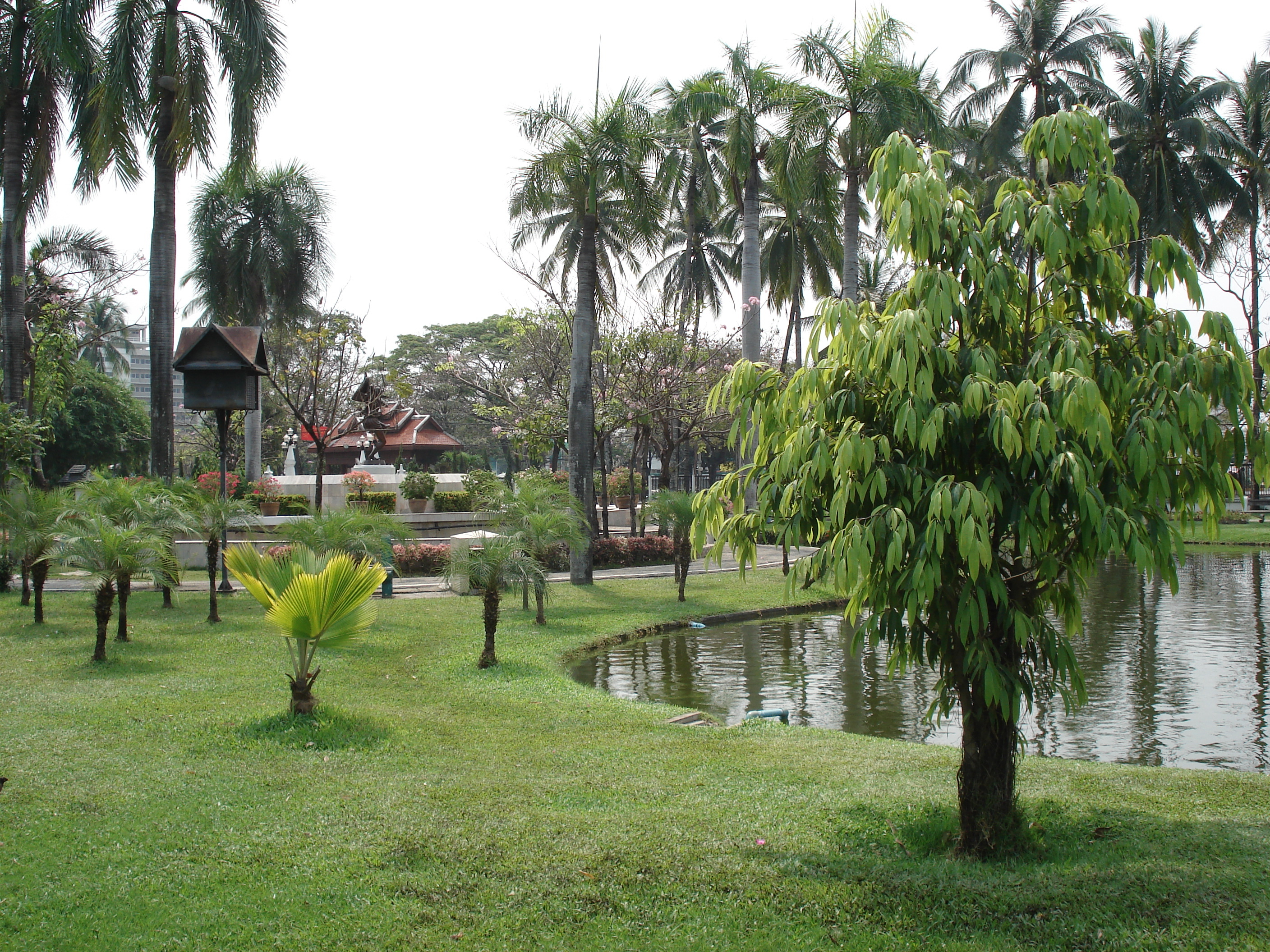 รูปถ่าย ไทย(Thailand) เชียงใหม่(Chiang Mai) ข้างในคุเมืองเชียงใหม่(Inside Canal) สวนบวกหาด(Buak Had Park) 2006-04 6