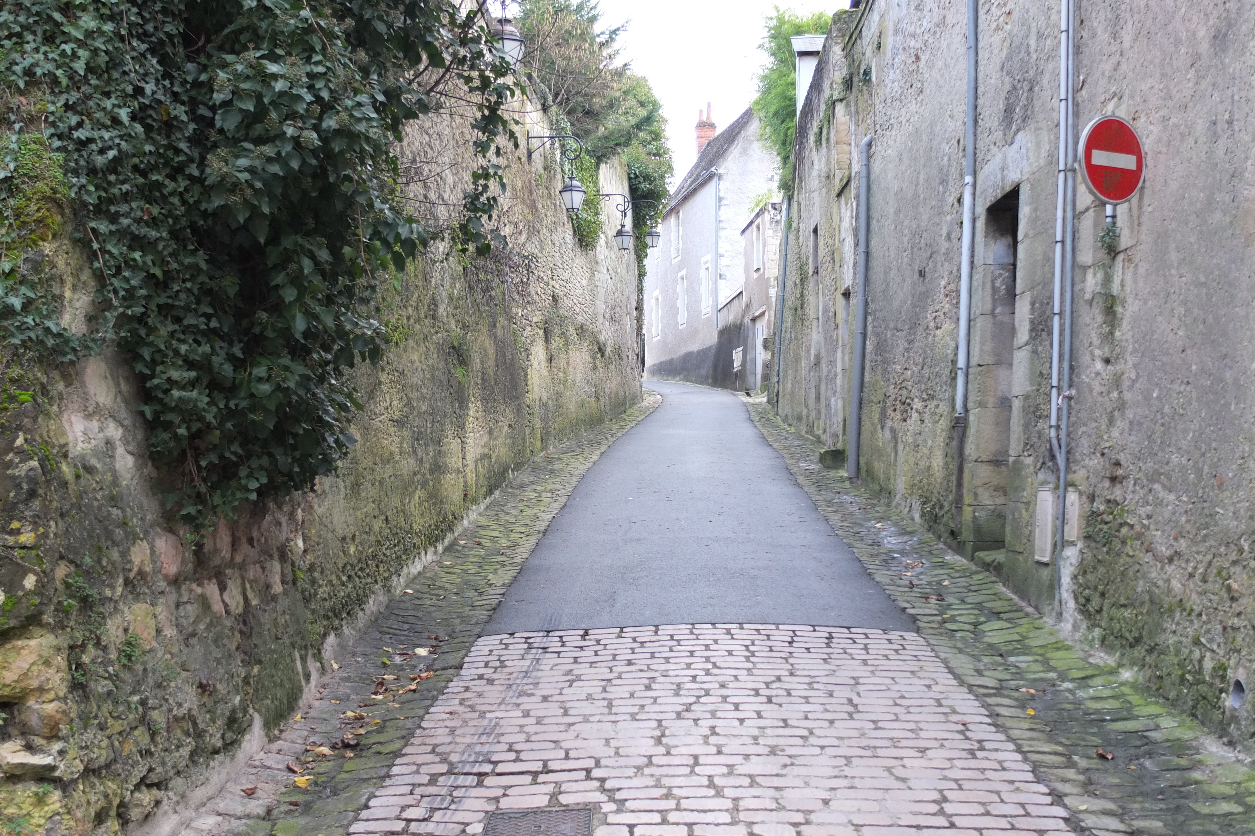 รูปถ่าย ฝรั่งเศส(France) ปราสาทลอช(Loches Castle) 2013-01 142