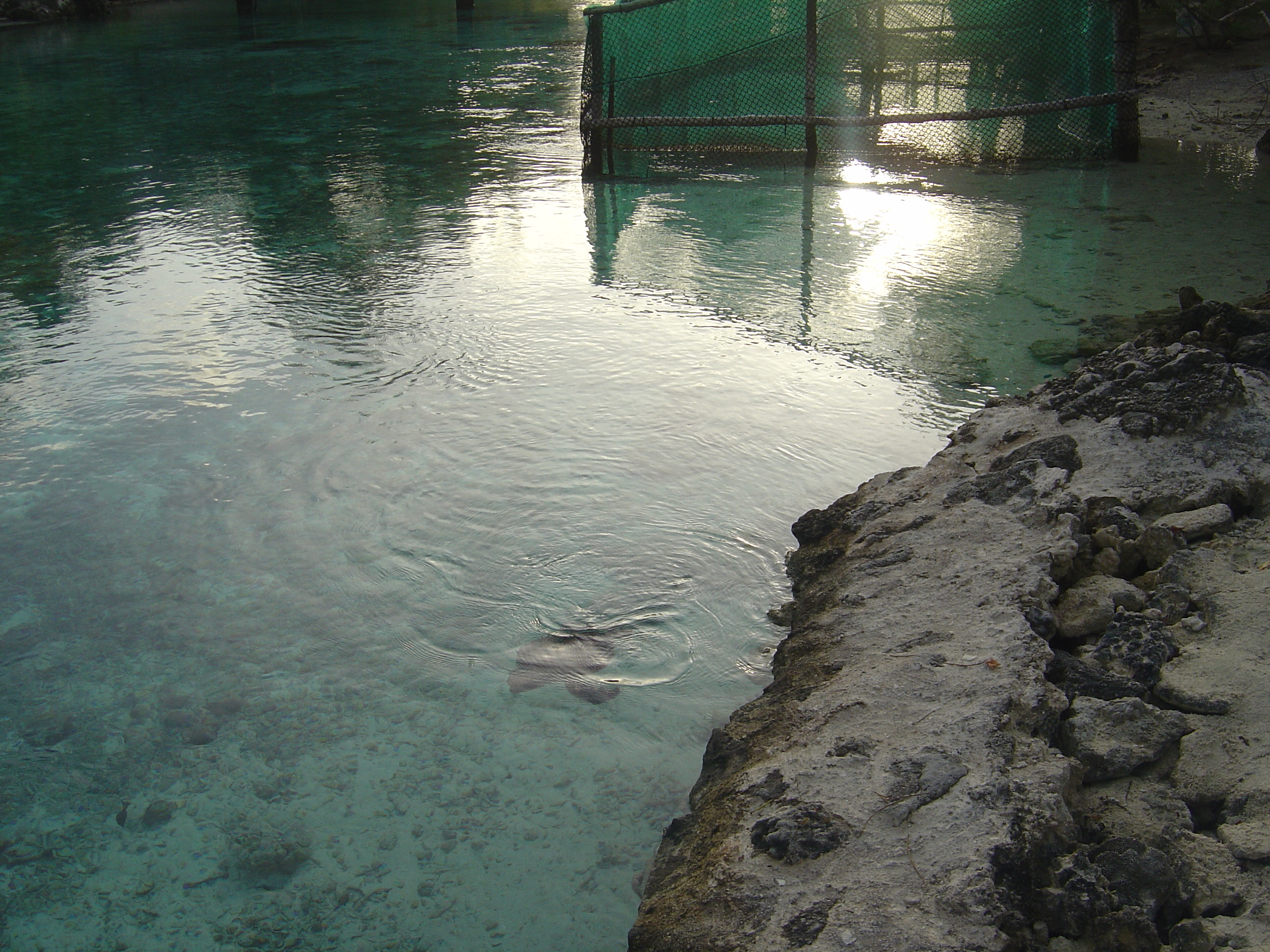 รูปถ่าย เฟรนช์โพลี่นีเซีย(Polynesia) โรงแรมเลอเมอริเดียน โบราโบรา(Meridien Bora Bora Hotel) 2006-04 8