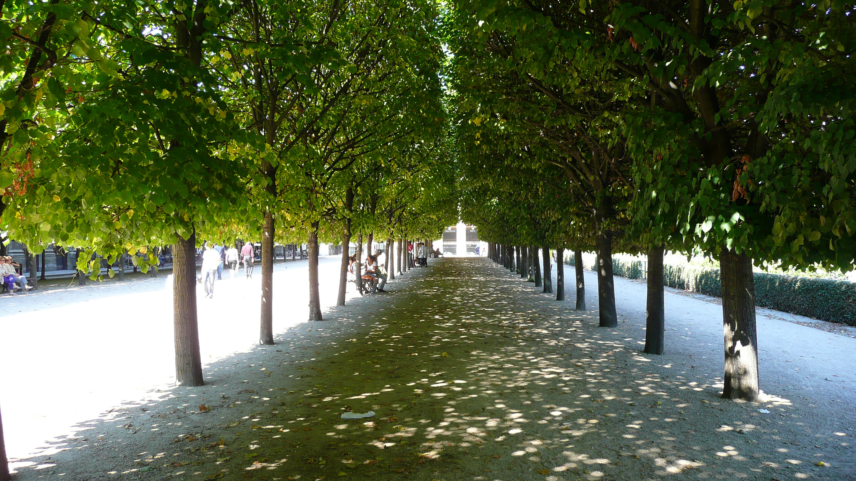 รูปถ่าย ฝรั่งเศส(France) ปารีส(Paris) พระราชวังปาแลรัวยาล(Palais Royal) 2007-08 63