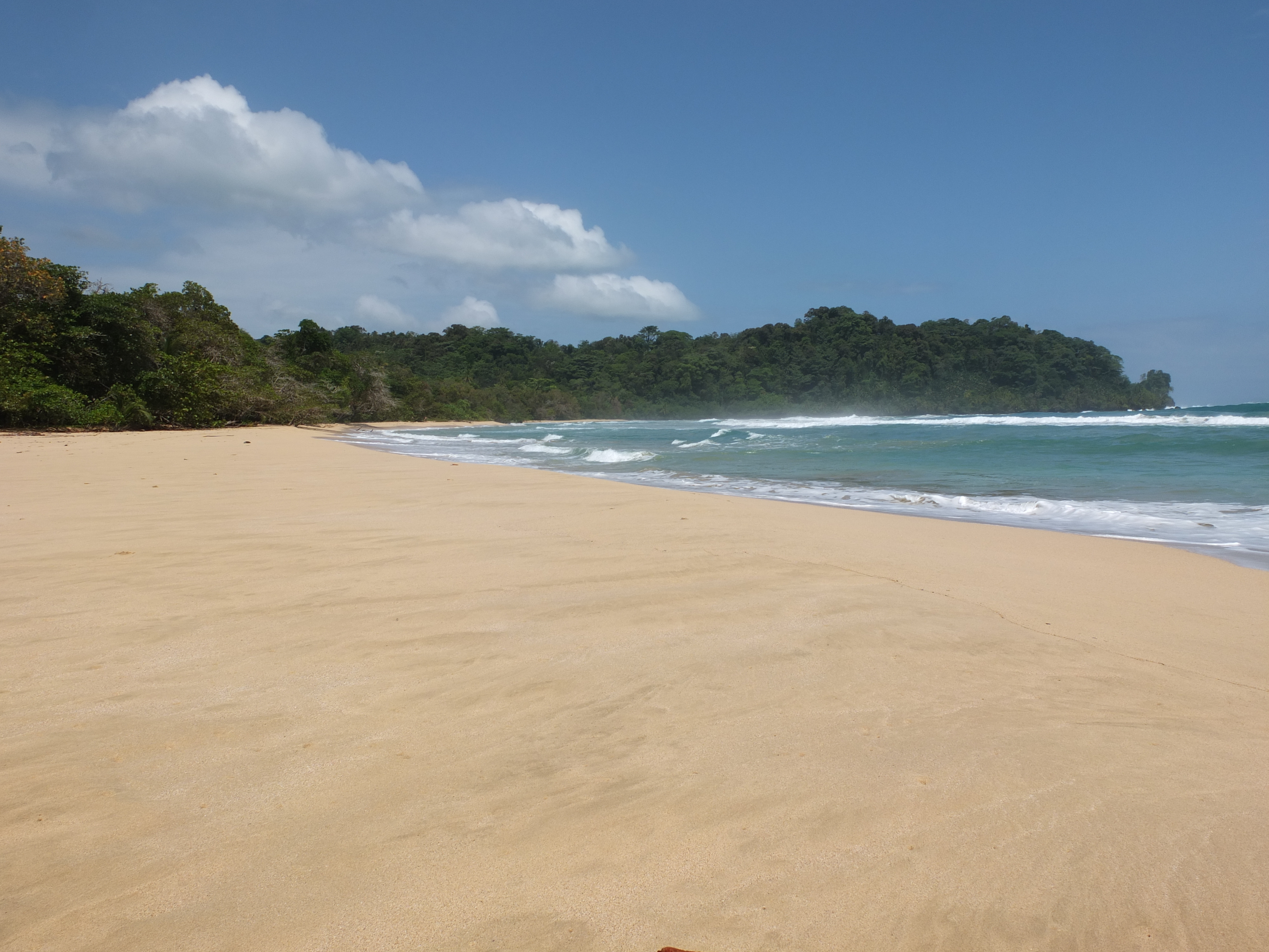 รูปถ่าย ปานามา(Panama) เกาะบาสติเมนโตส(Bastimentos) 2015-03 80