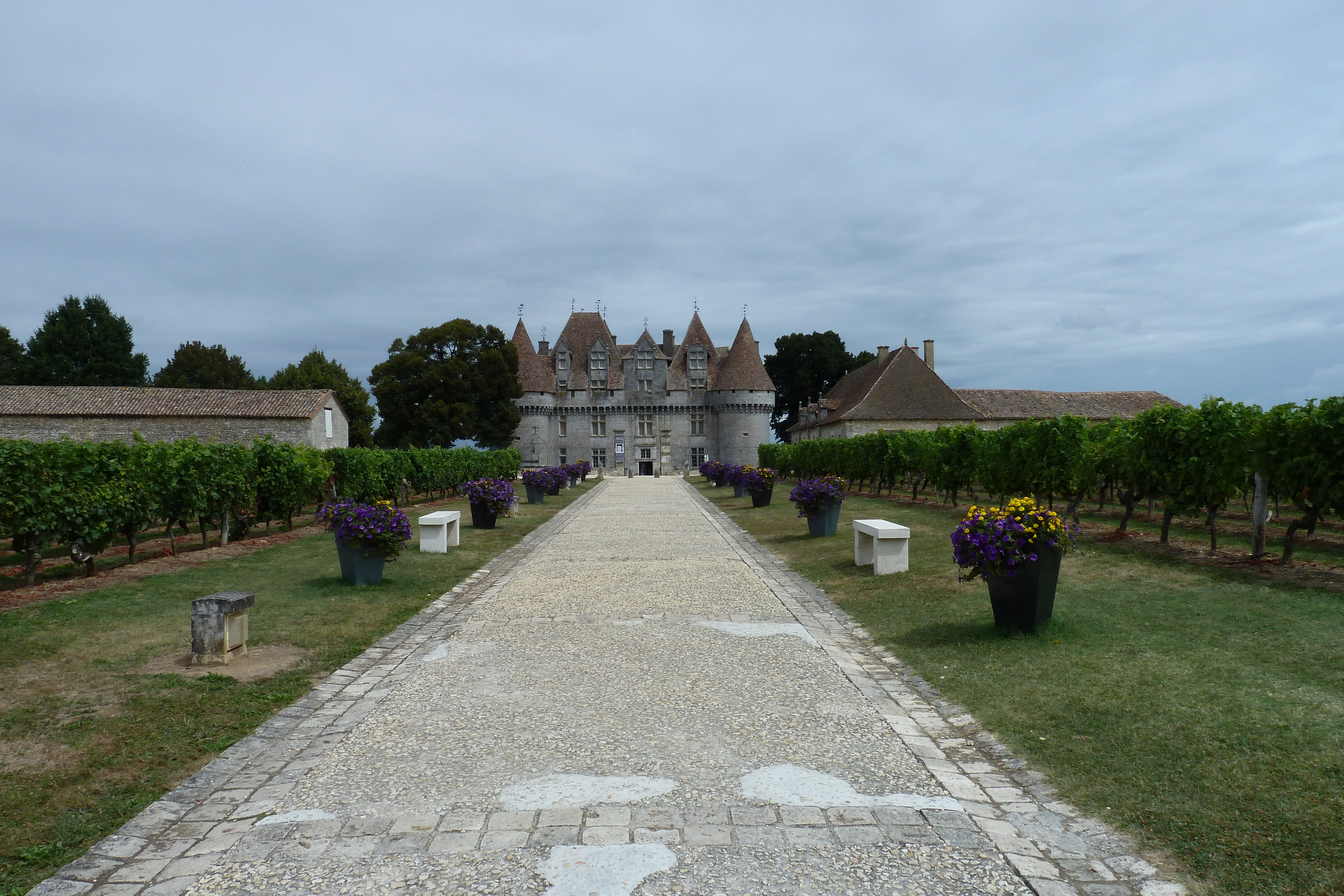 รูปถ่าย ฝรั่งเศส(France) มงบาซียัก(Monbazillac) 2010-08 63