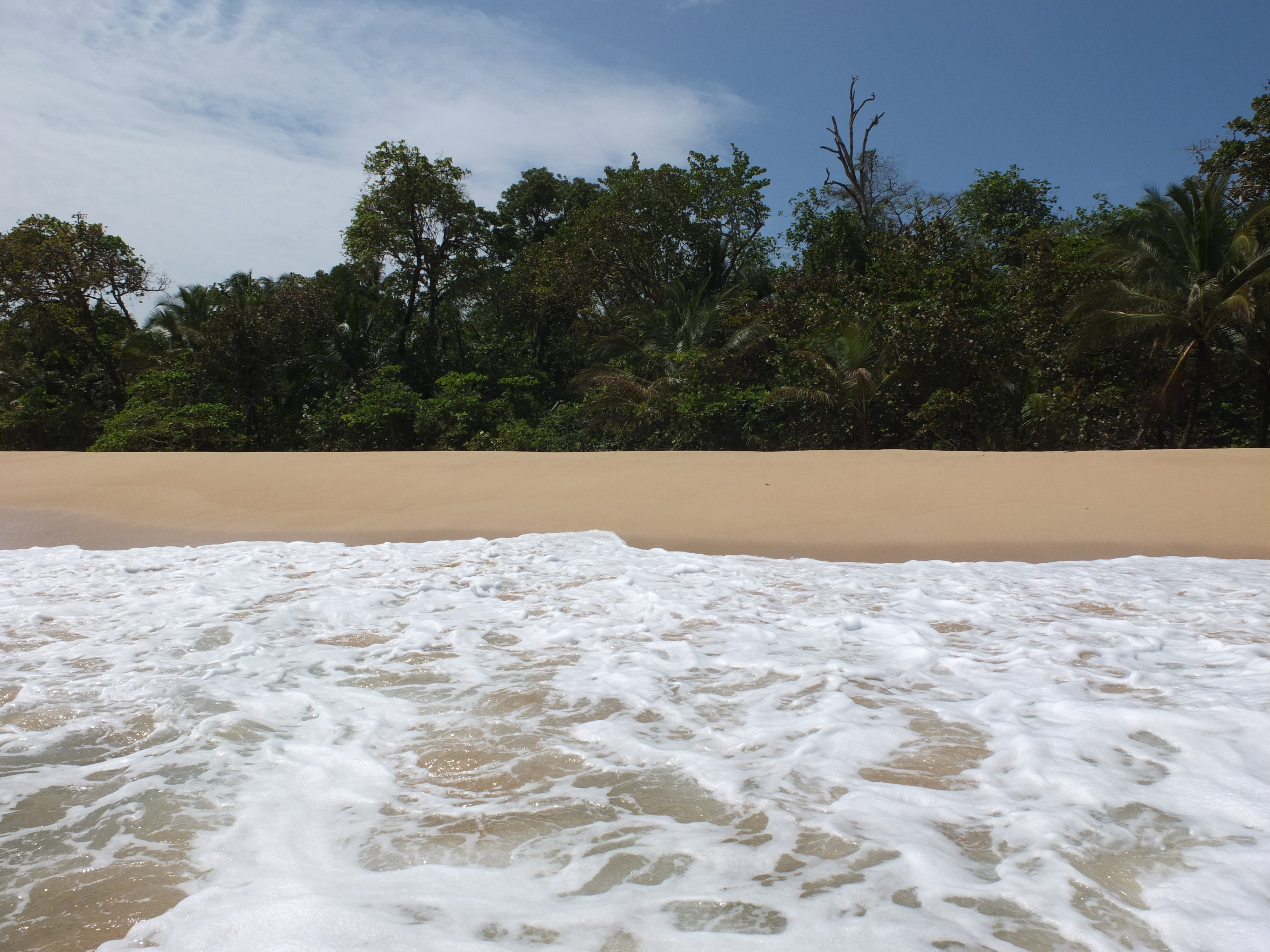 รูปถ่าย ปานามา(Panama) เกาะบาสติเมนโตส(Bastimentos) 2015-03 62