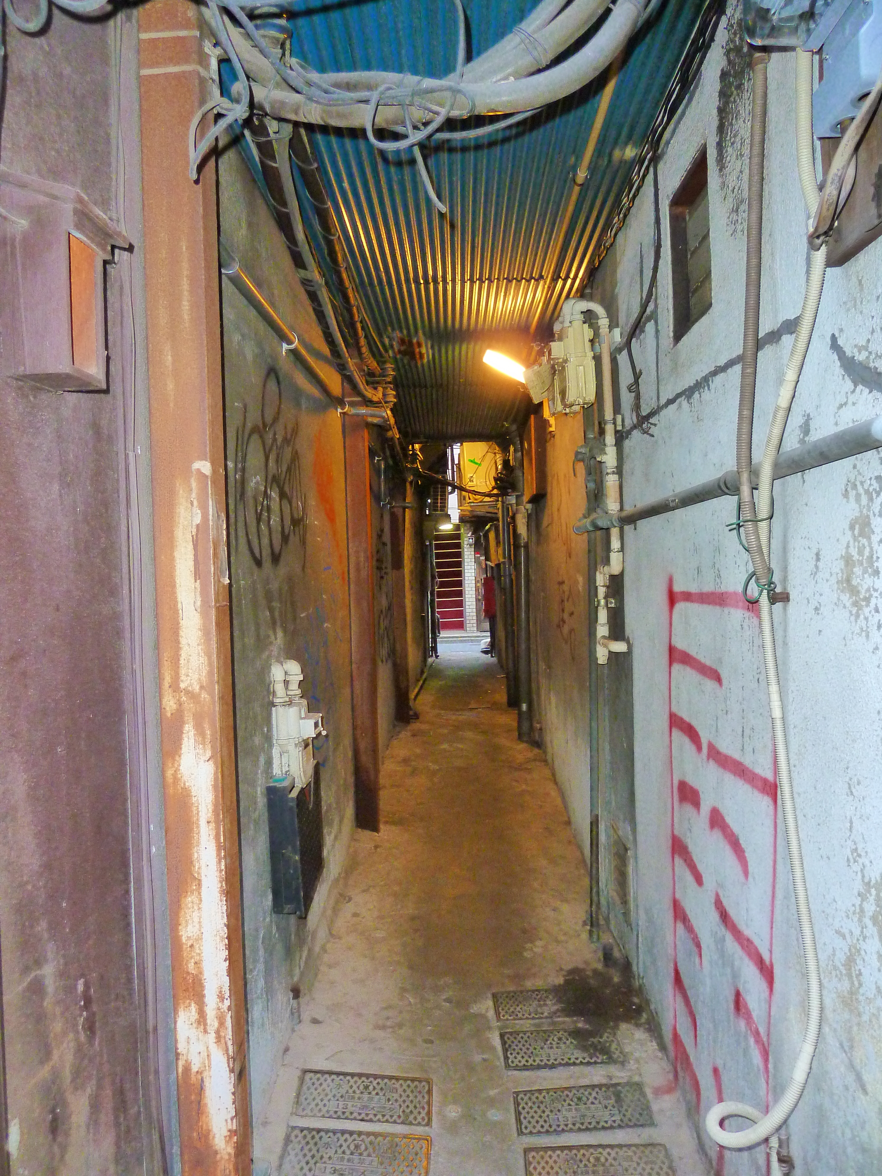 รูปถ่าย ญี่ปุ่น(Japan) โตเกียว(Tokyo) ชินจูกุ(Shinjuku) 2010-06 49