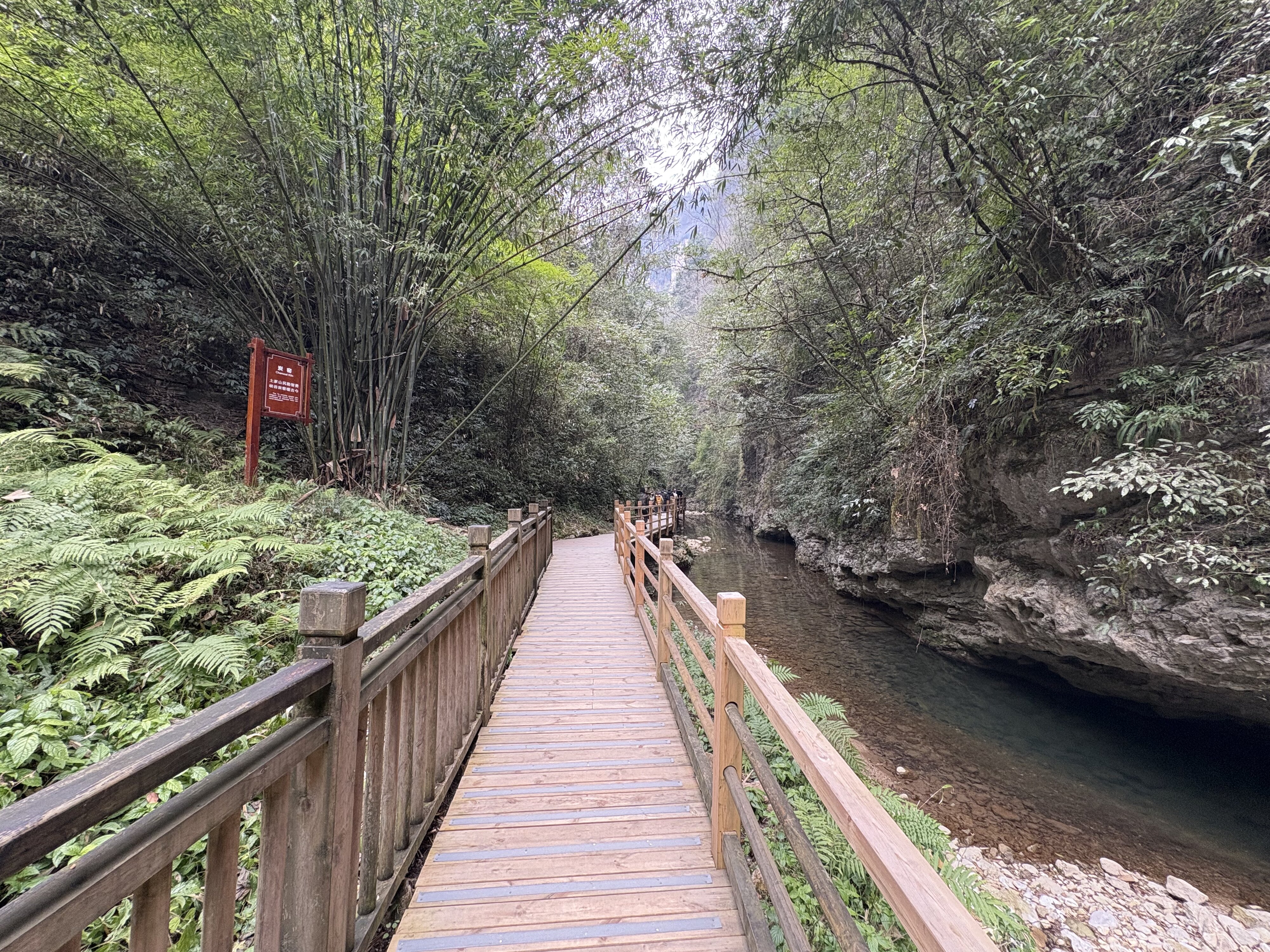 รูปถ่าย จีน(China) จางเจียเจี้ย(Zhangjiajie) แกรนด์แคนยอน(Grand Canyon) 2026-01 19