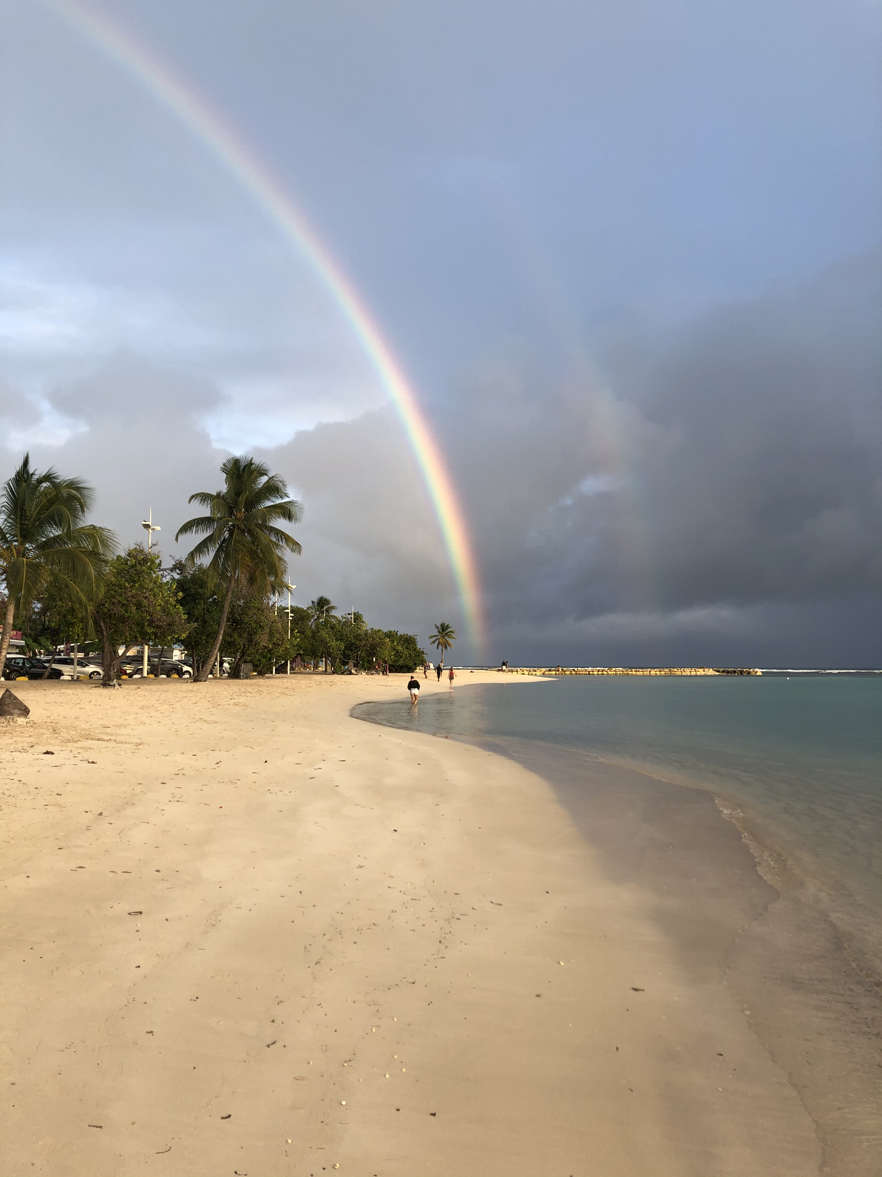รูปถ่าย กวาเดอลูป(Guadeloupe) แซ็งตาน(Sainte Anne) 2021-02 97