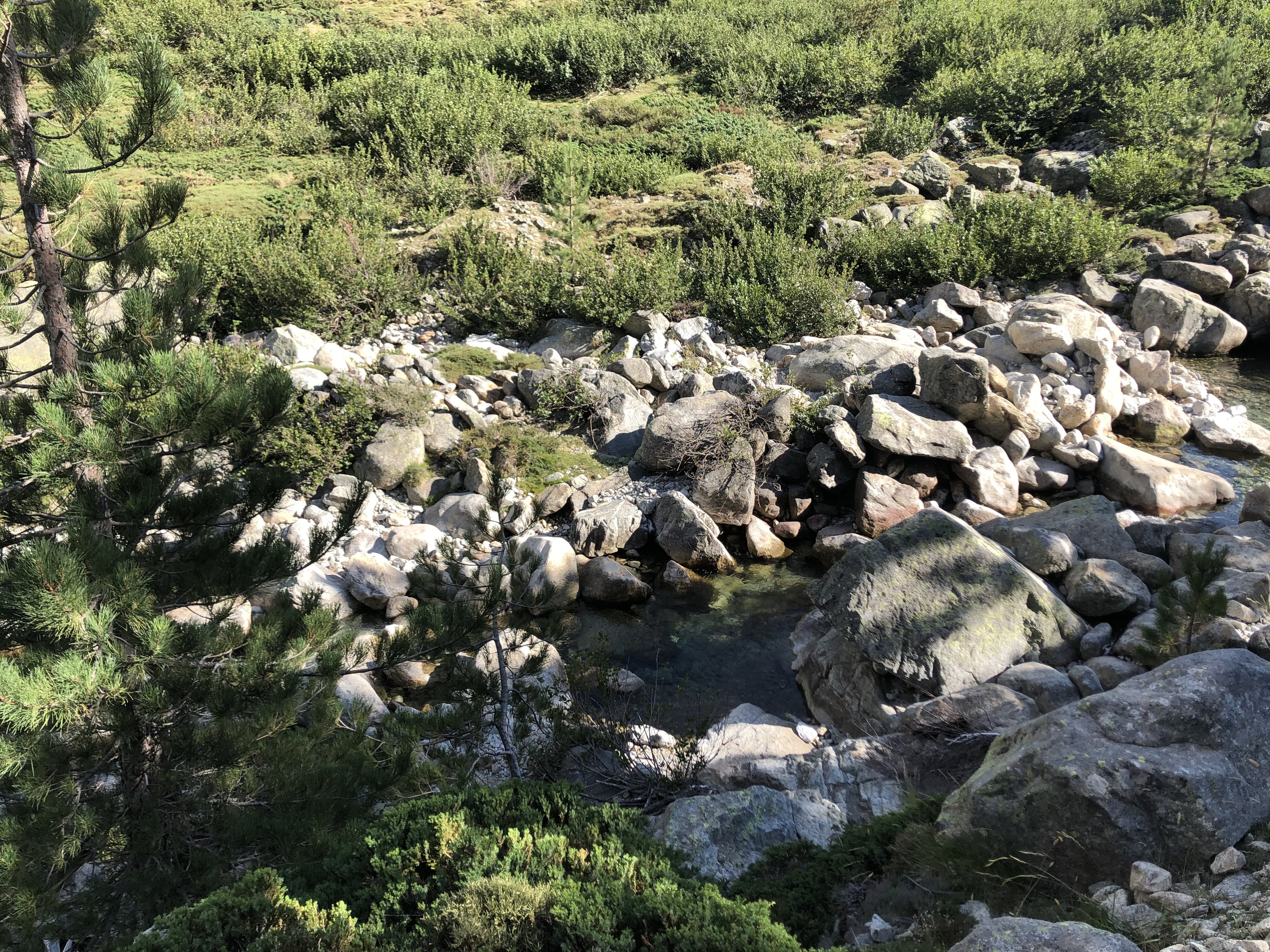 รูปถ่าย ฝรั่งเศส(France) คอร์สิคา(Corsica) หุบเขาลาเรสโตนีกา(La Restonica) 2020-07 129