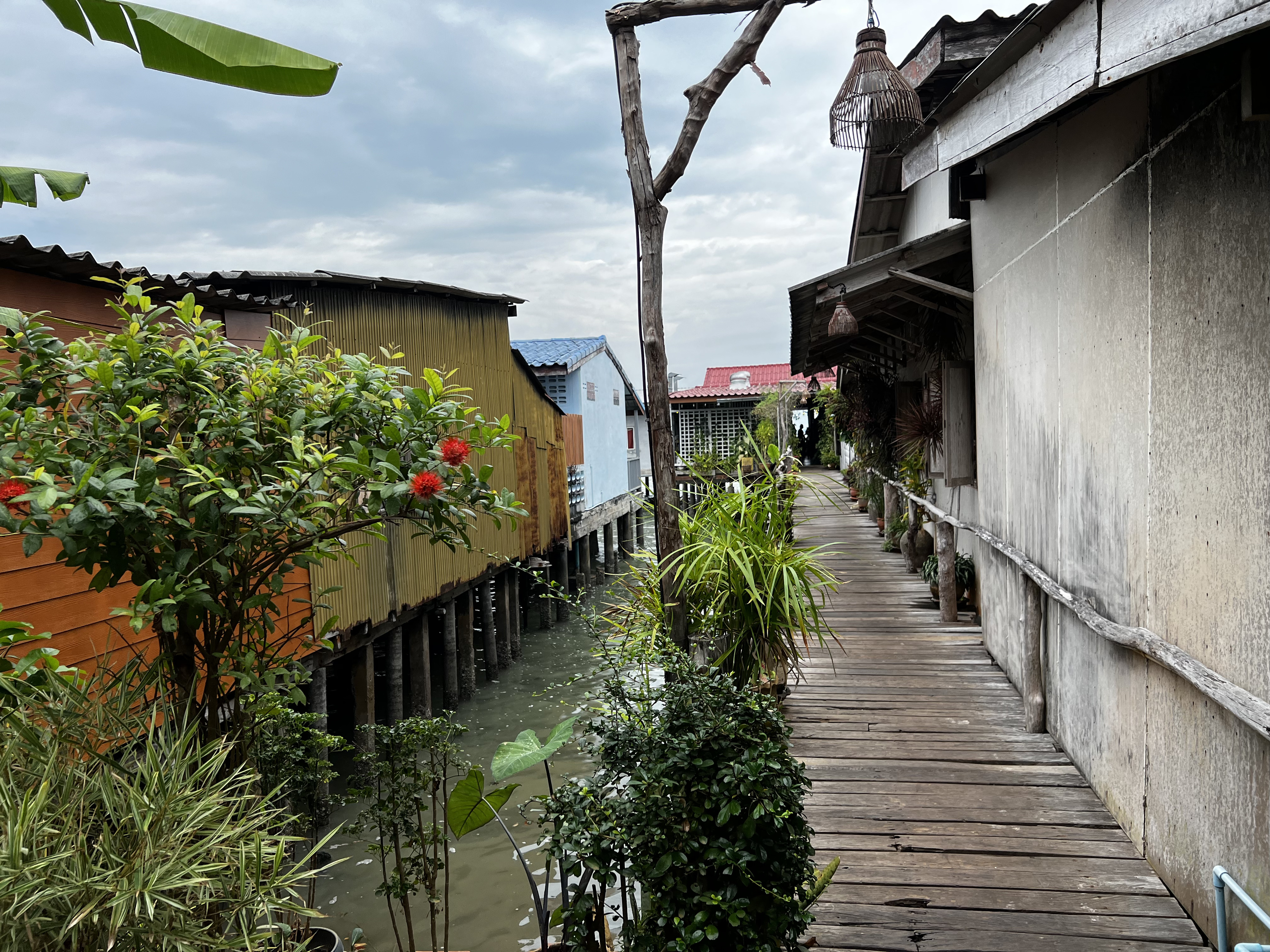 รูปถ่าย ไทย(Thailand) เกาะลันตา(Ko Lanta) 2023-01 212