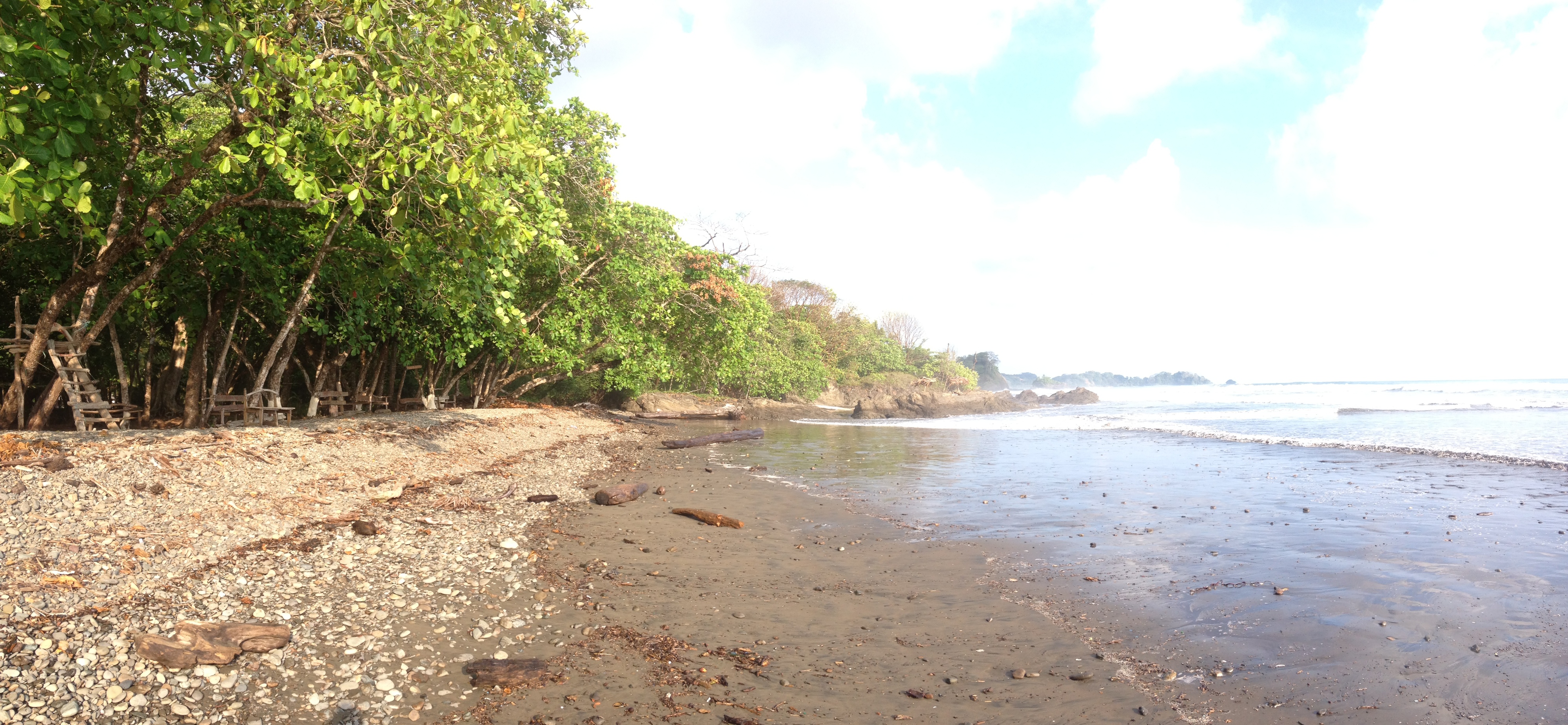 รูปถ่าย คอสตาริกา(Costa Rica) โดมินิกัล(Dominical) 2015-03 73