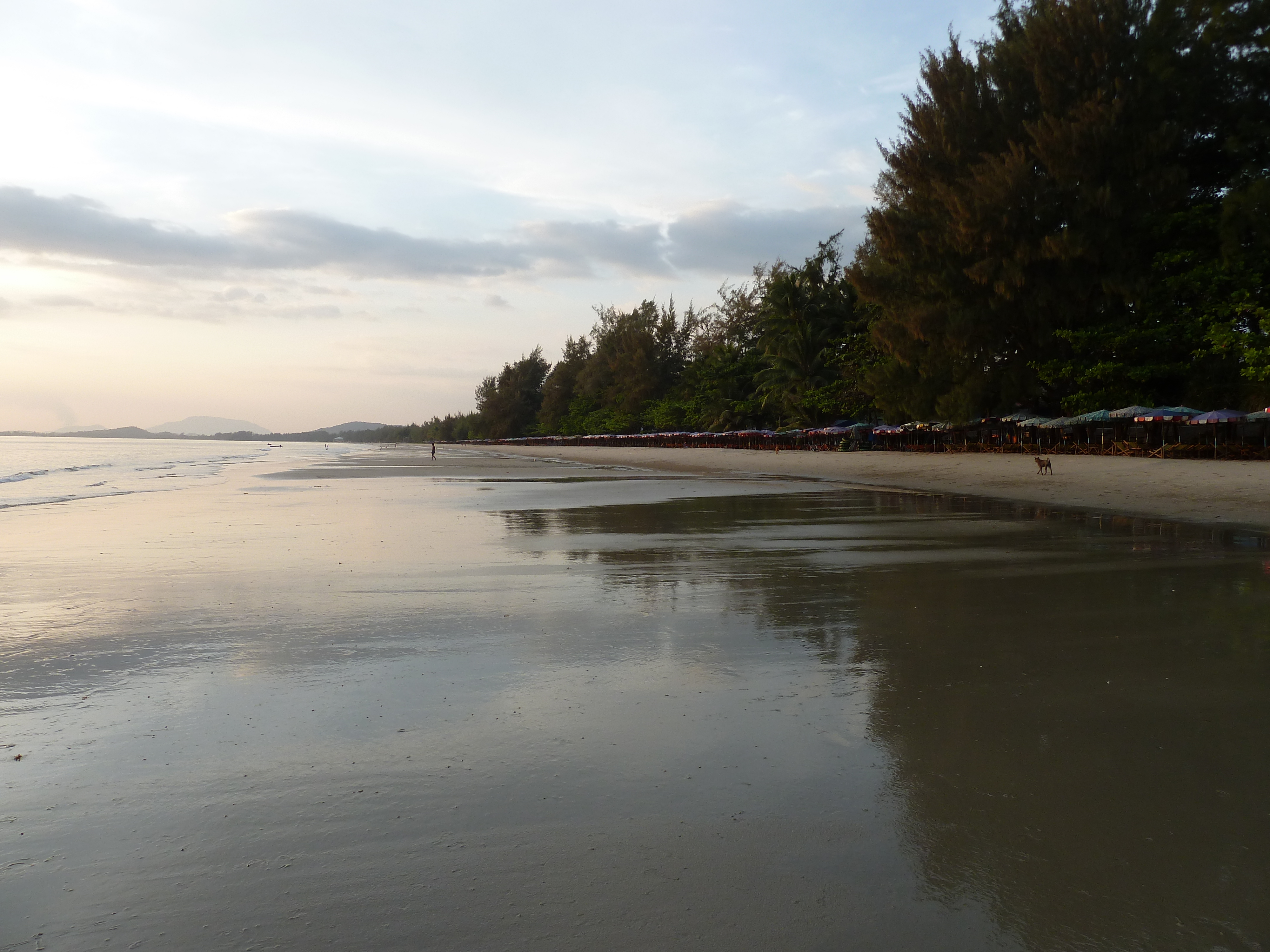 รูปถ่าย ไทย(Thailand) ระยอง(Rayong) 2011-12 46