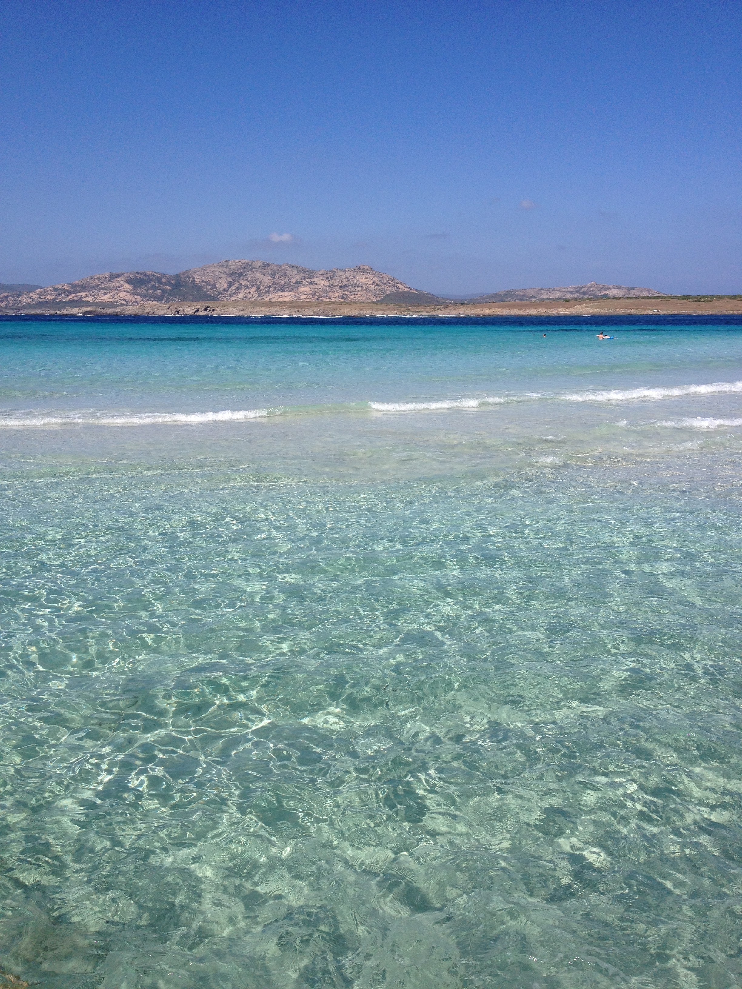 รูปถ่าย อิตาลี(Italy) ซาร์ดิเนีย(Sardinia) แหลมกาโปเดลฟัลโกเน(Capo del Falcone) 2015-06 73