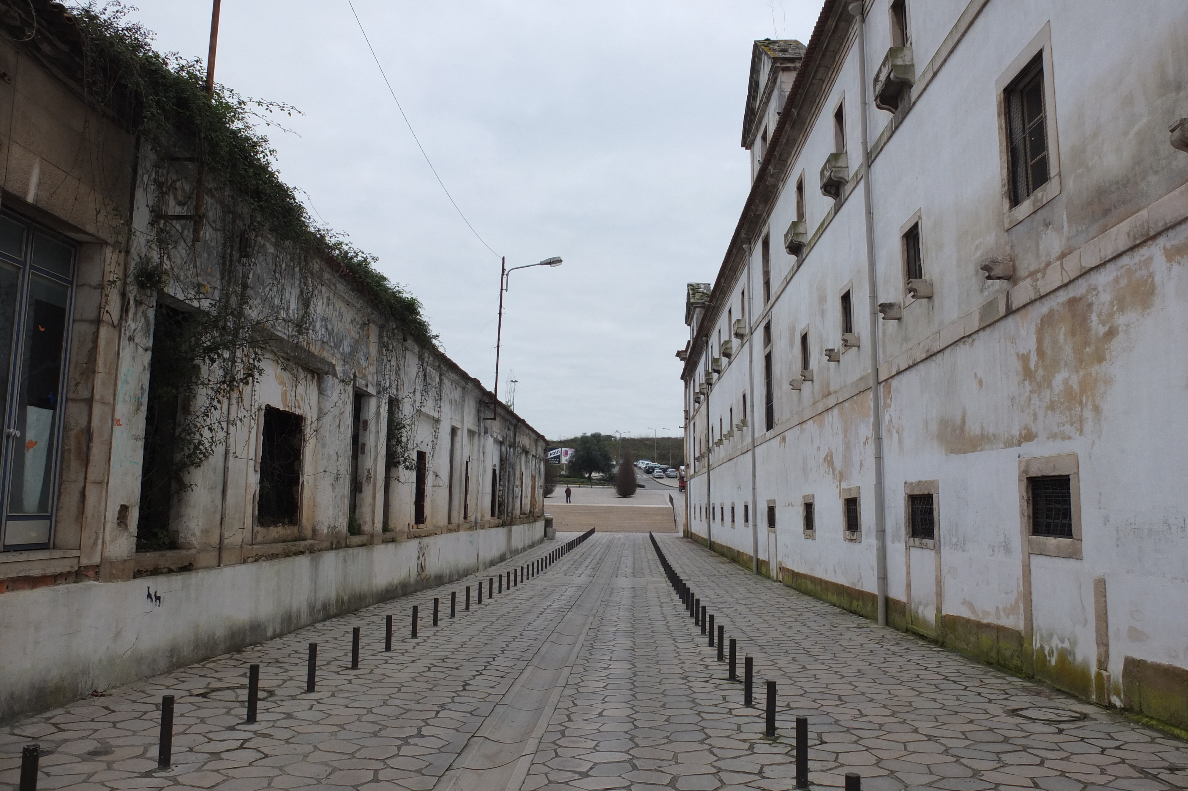 รูปถ่าย โปรตุเกส(Portugal) อัลโกบาซา(Alcobaca) 2013-01 19
