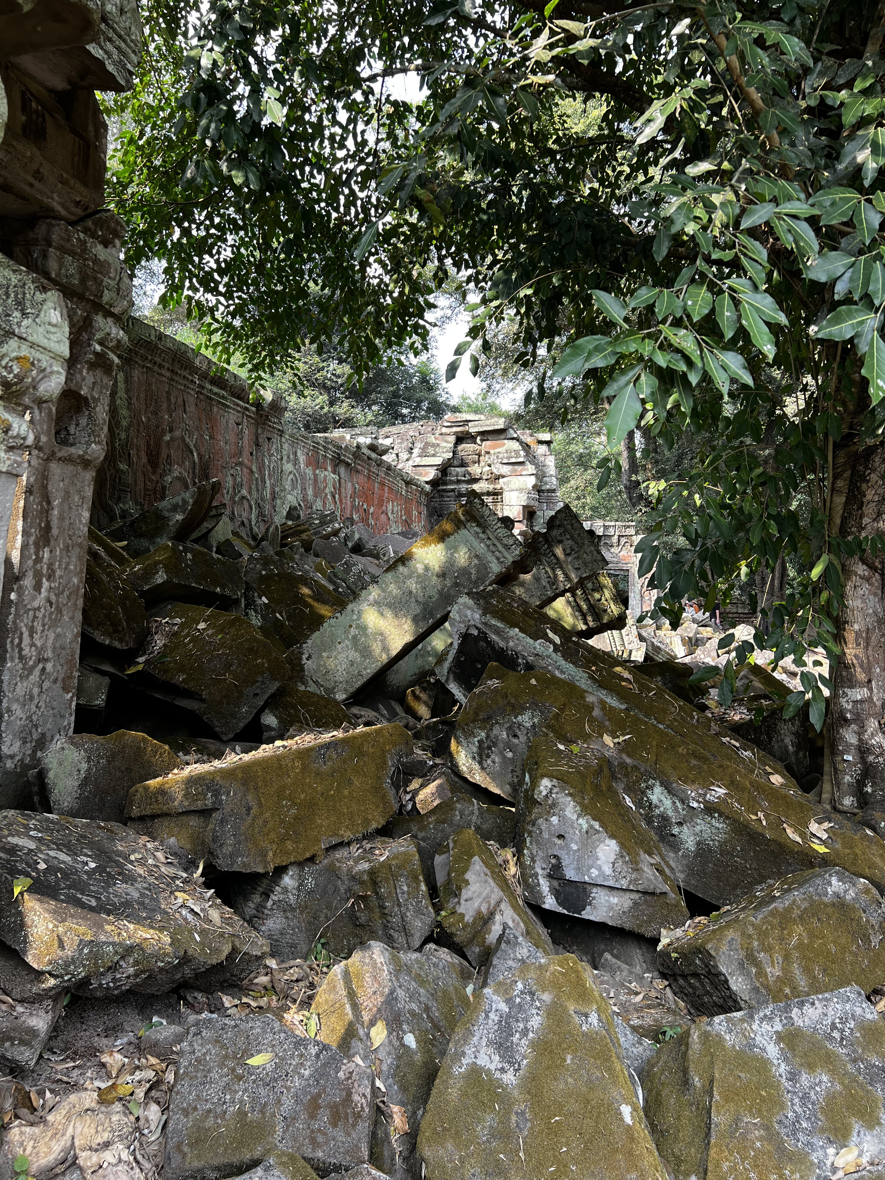รูปถ่าย กัมพูชา(Cambodia) เสียมราฐ(Siem Reap) ปราสาทตาพรหม(Ta Prohm) 2023-01 147
