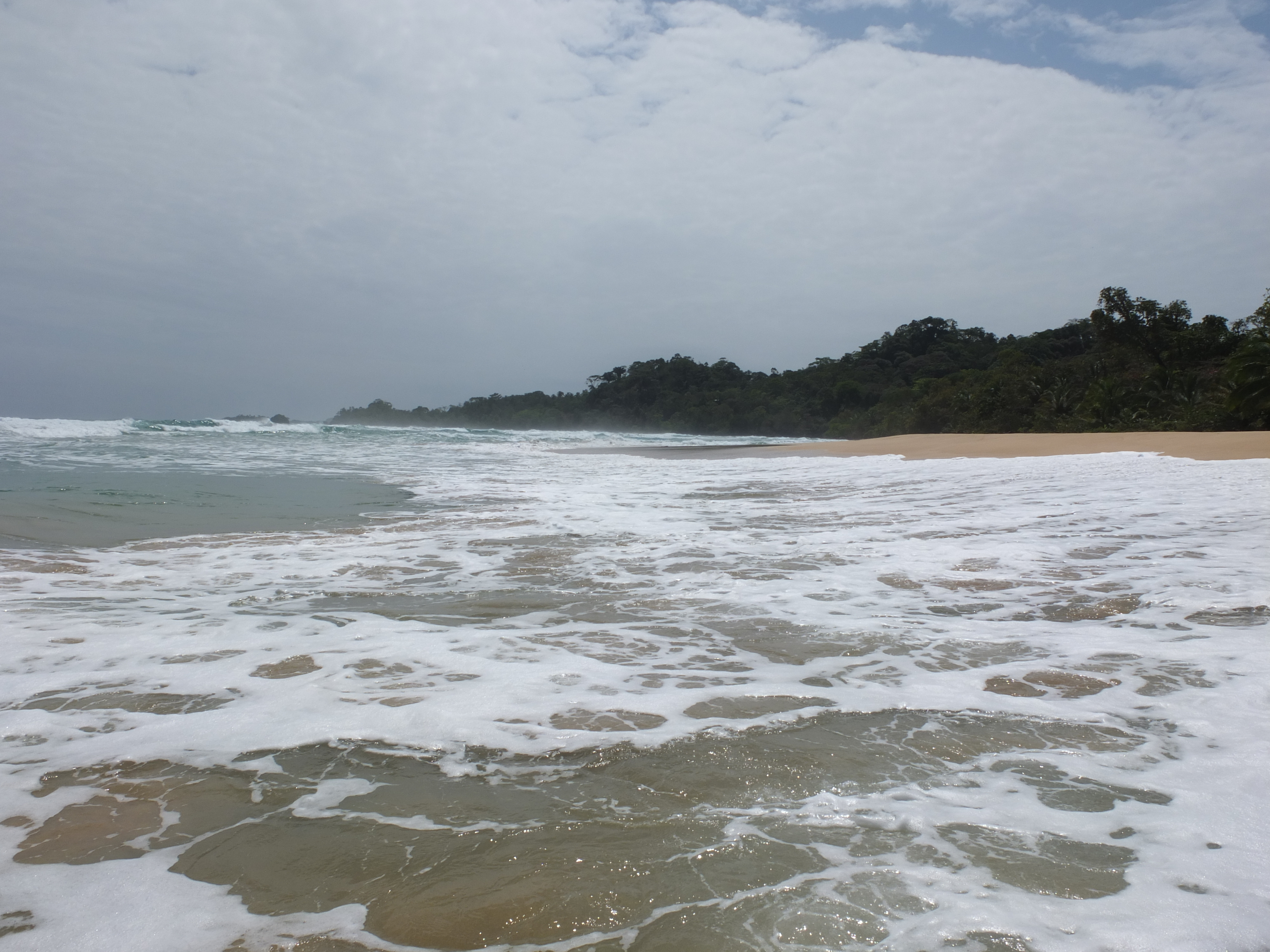 รูปถ่าย ปานามา(Panama) เกาะบาสติเมนโตส(Bastimentos) 2015-03 40