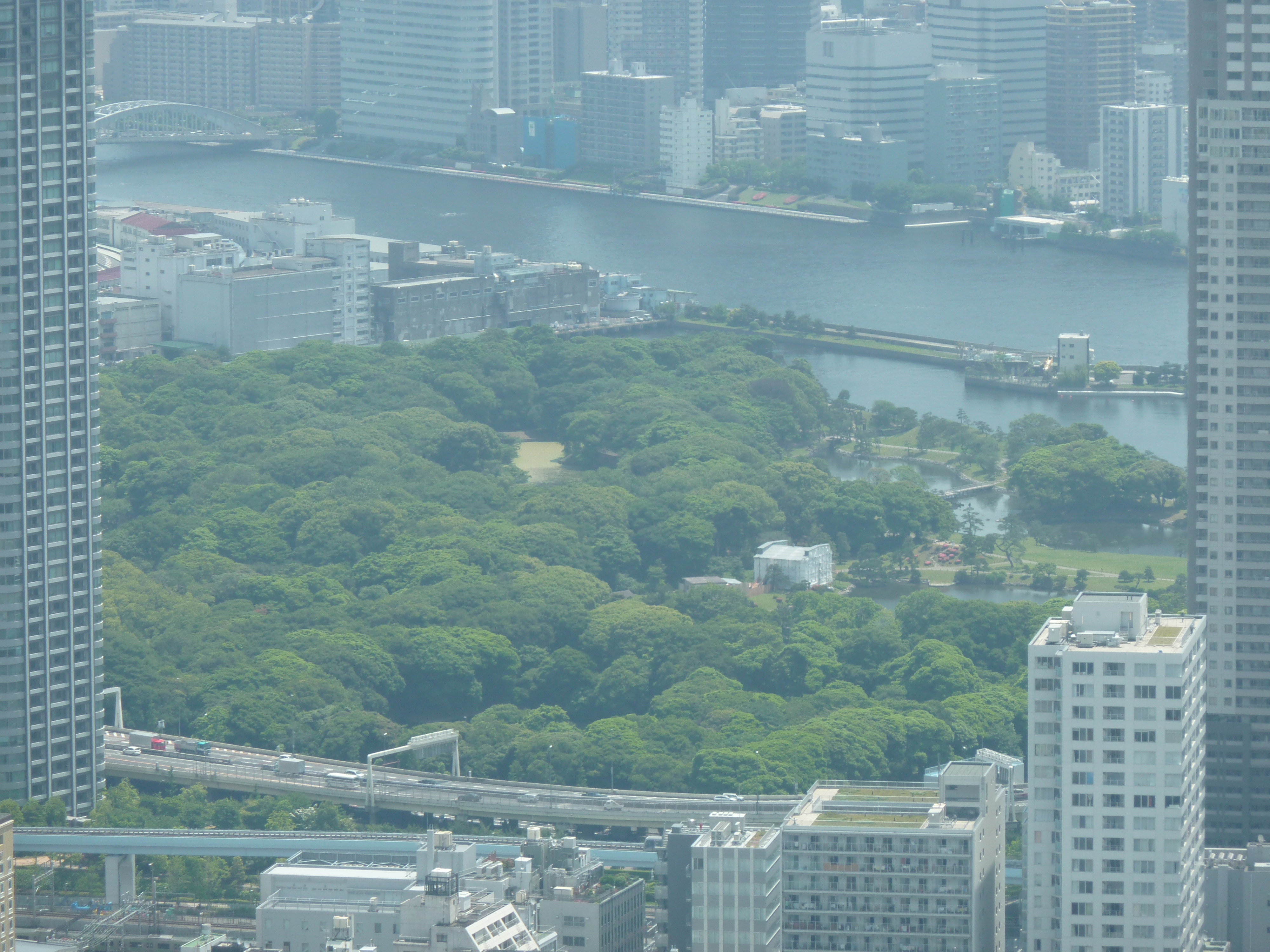 รูปถ่าย ญี่ปุ่น(Japan) โตเกียว(Tokyo) โตเกียวทาวเวอร์(Tokyo Tower) 2010-06 35