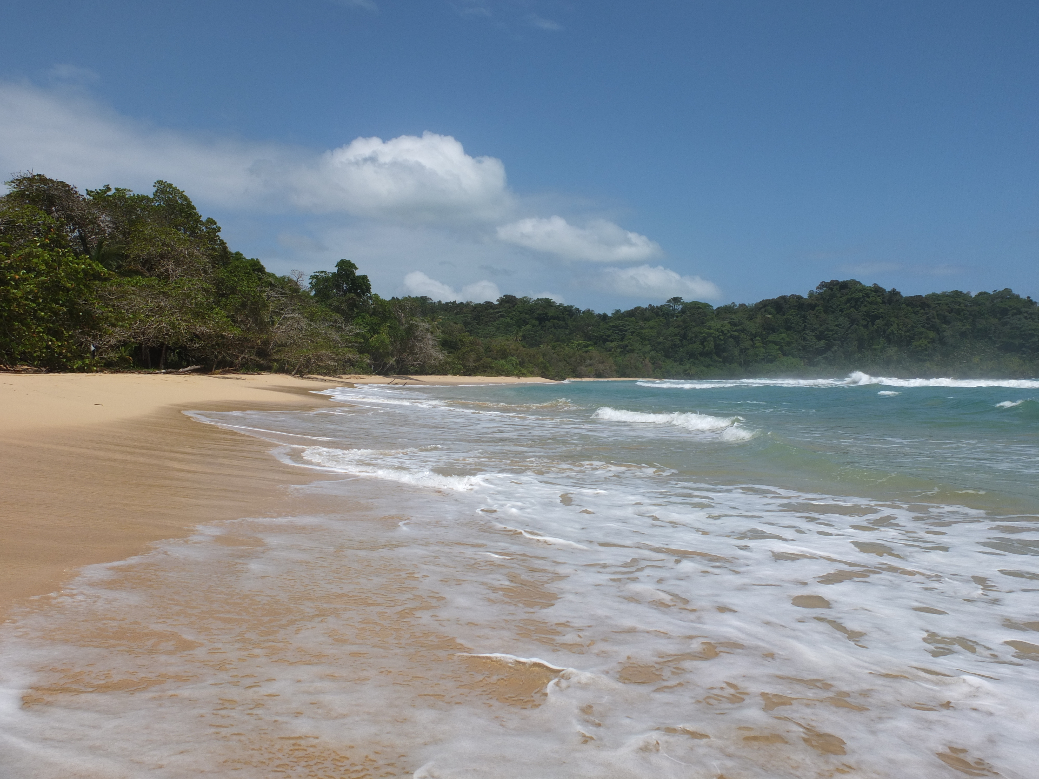 รูปถ่าย ปานามา(Panama) เกาะบาสติเมนโตส(Bastimentos) 2015-03 61