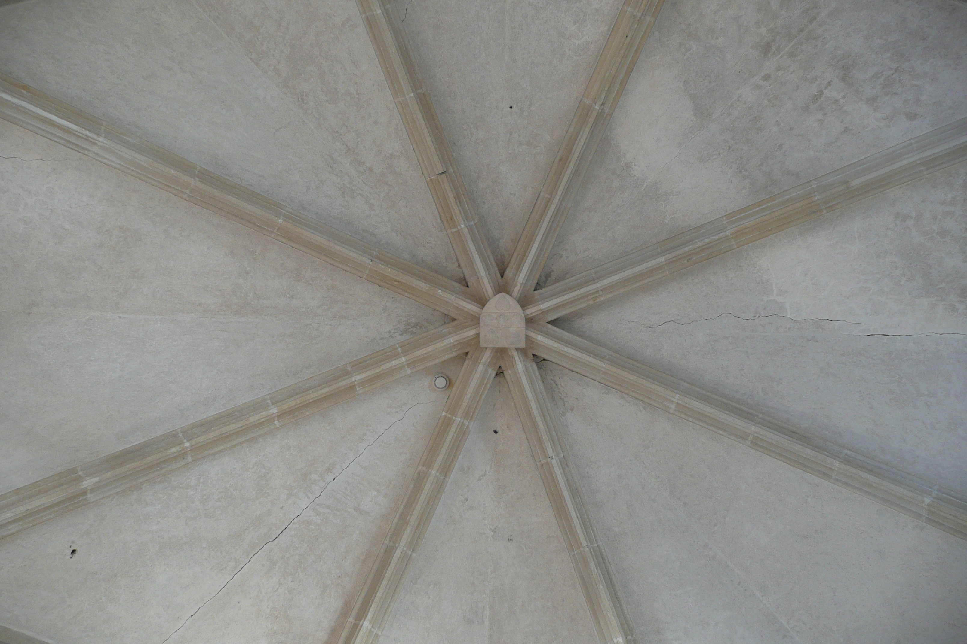 รูปถ่าย ฝรั่งเศส(France) บูร์ฌ(Bourges) วังฌักเกอร์(Palais Jacques Coeur) 2008-04 83