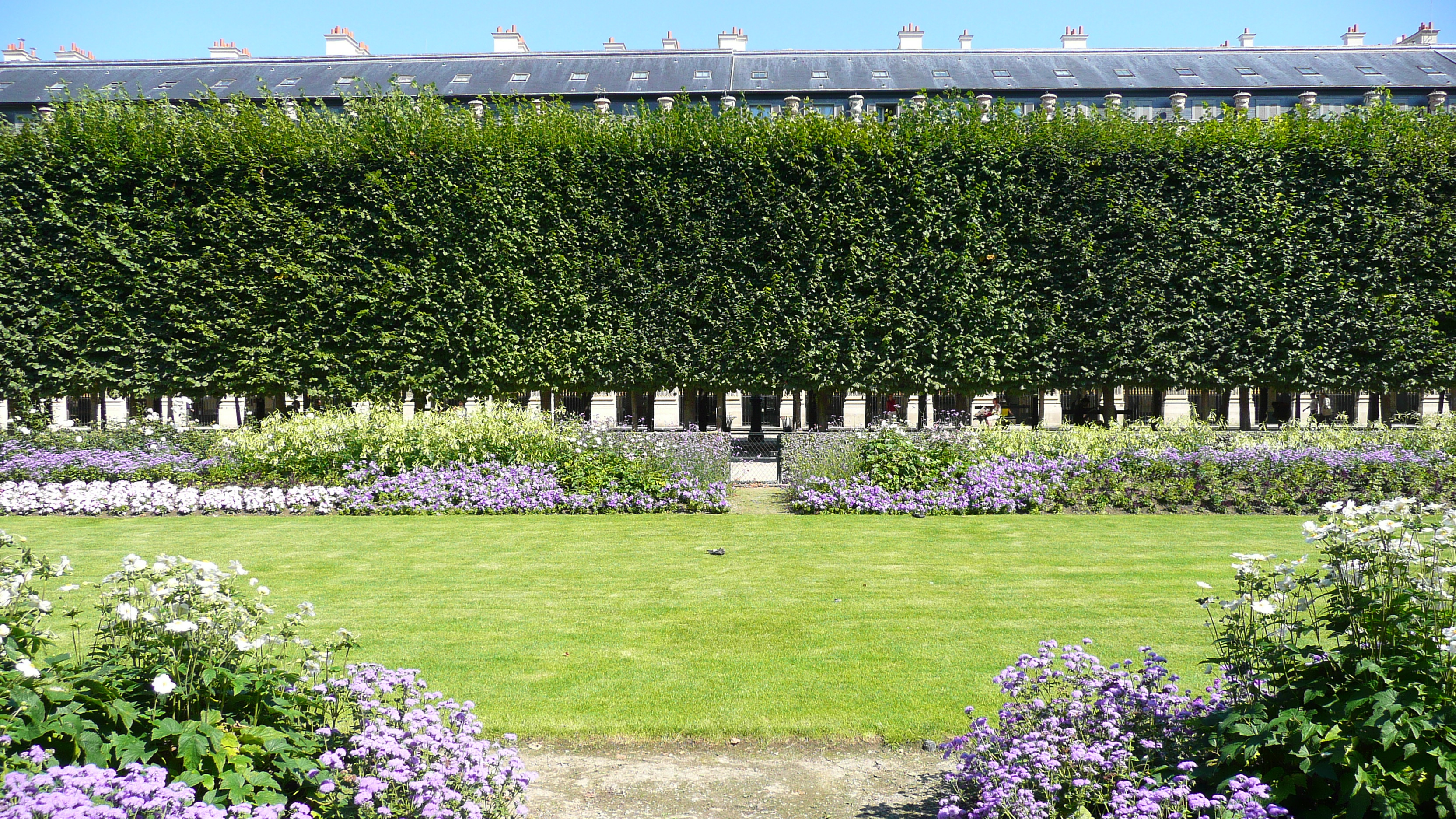 รูปถ่าย ฝรั่งเศส(France) ปารีส(Paris) พระราชวังปาแลรัวยาล(Palais Royal) 2007-08 125