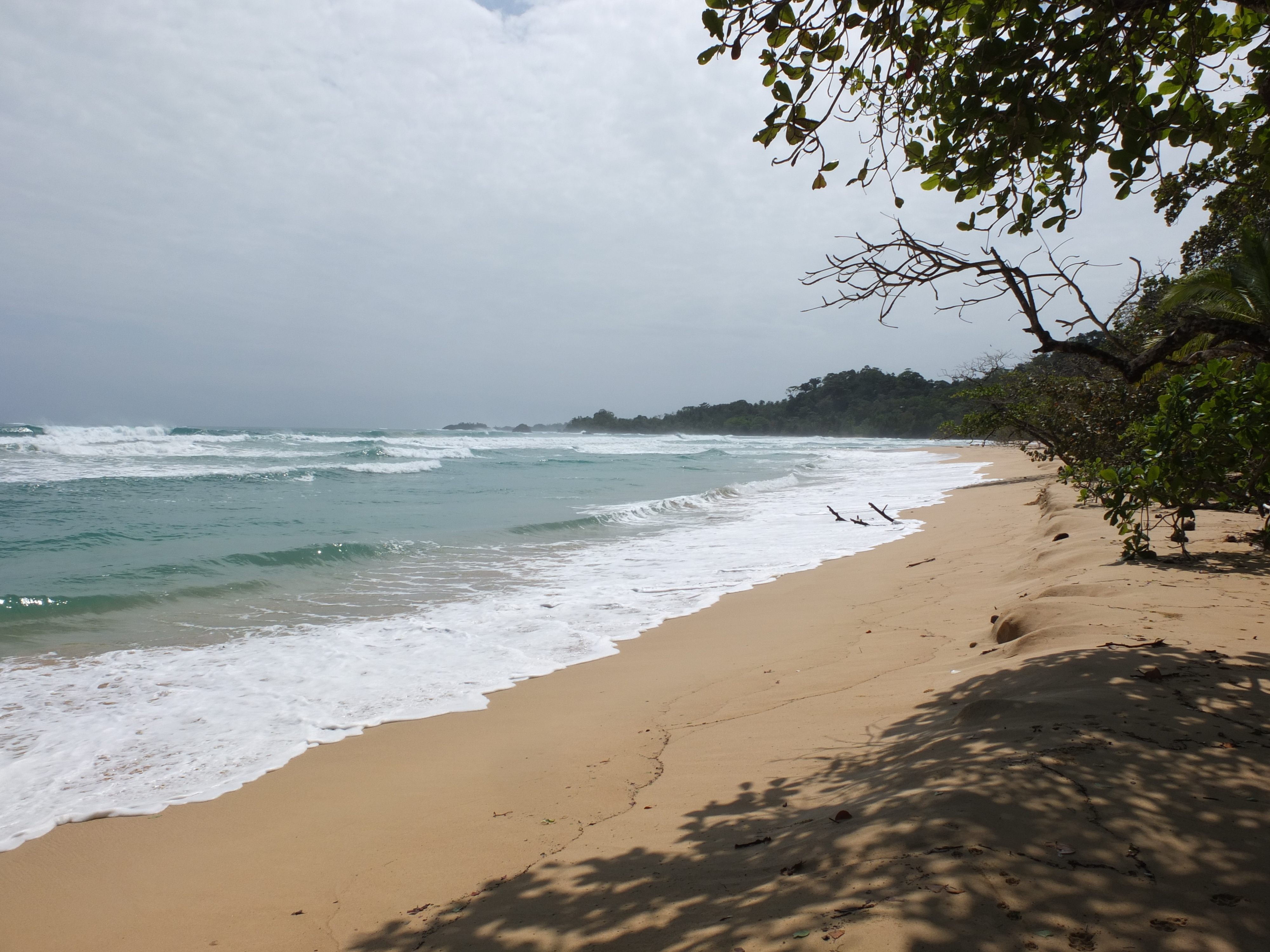 รูปถ่าย ปานามา(Panama) เกาะบาสติเมนโตส(Bastimentos) 2015-03 81