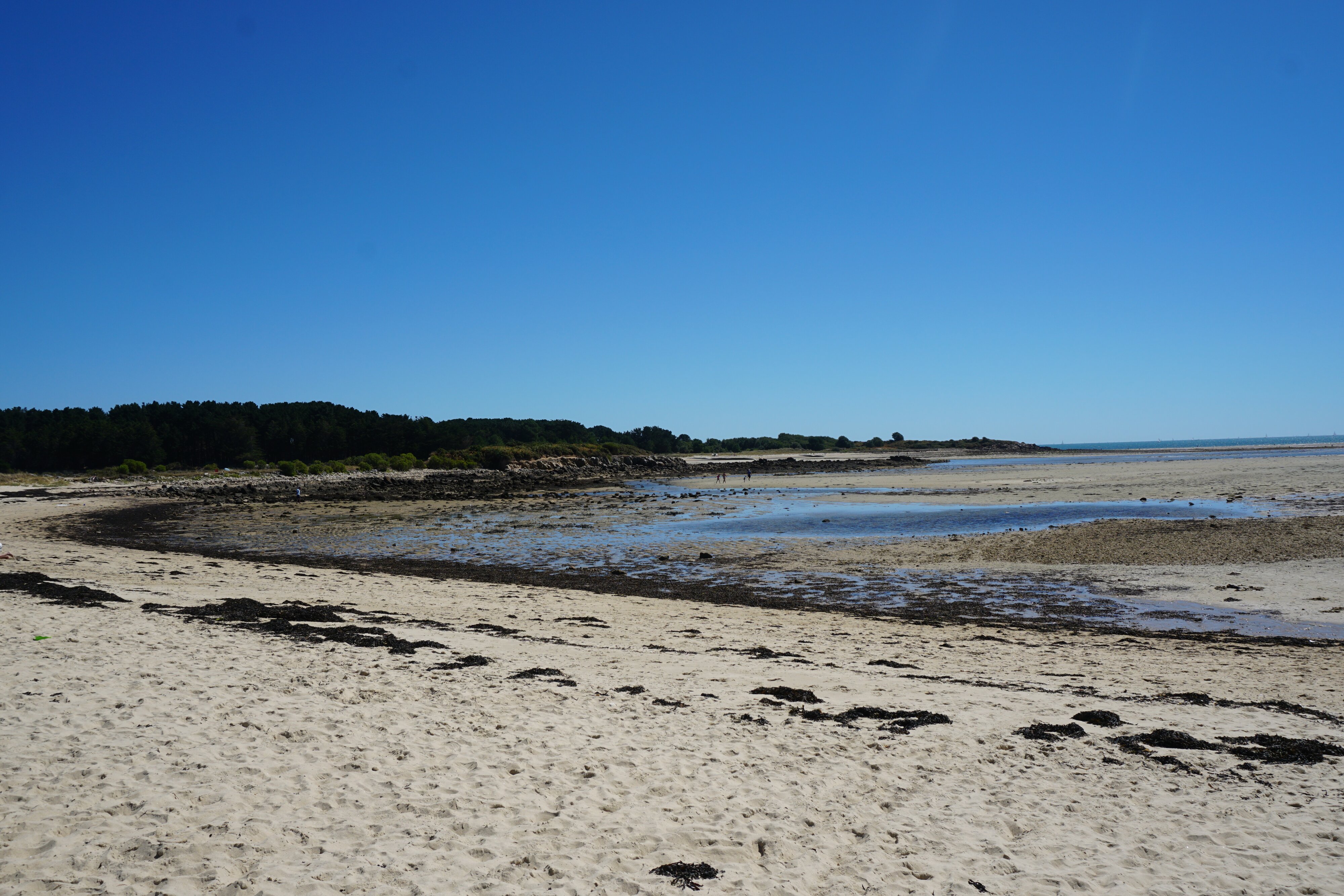 รูปถ่าย ฝรั่งเศส(France) ลาทรีนีเต-ซูร์-แมร์(La Trinite-sur-Mer) 2016-08 2