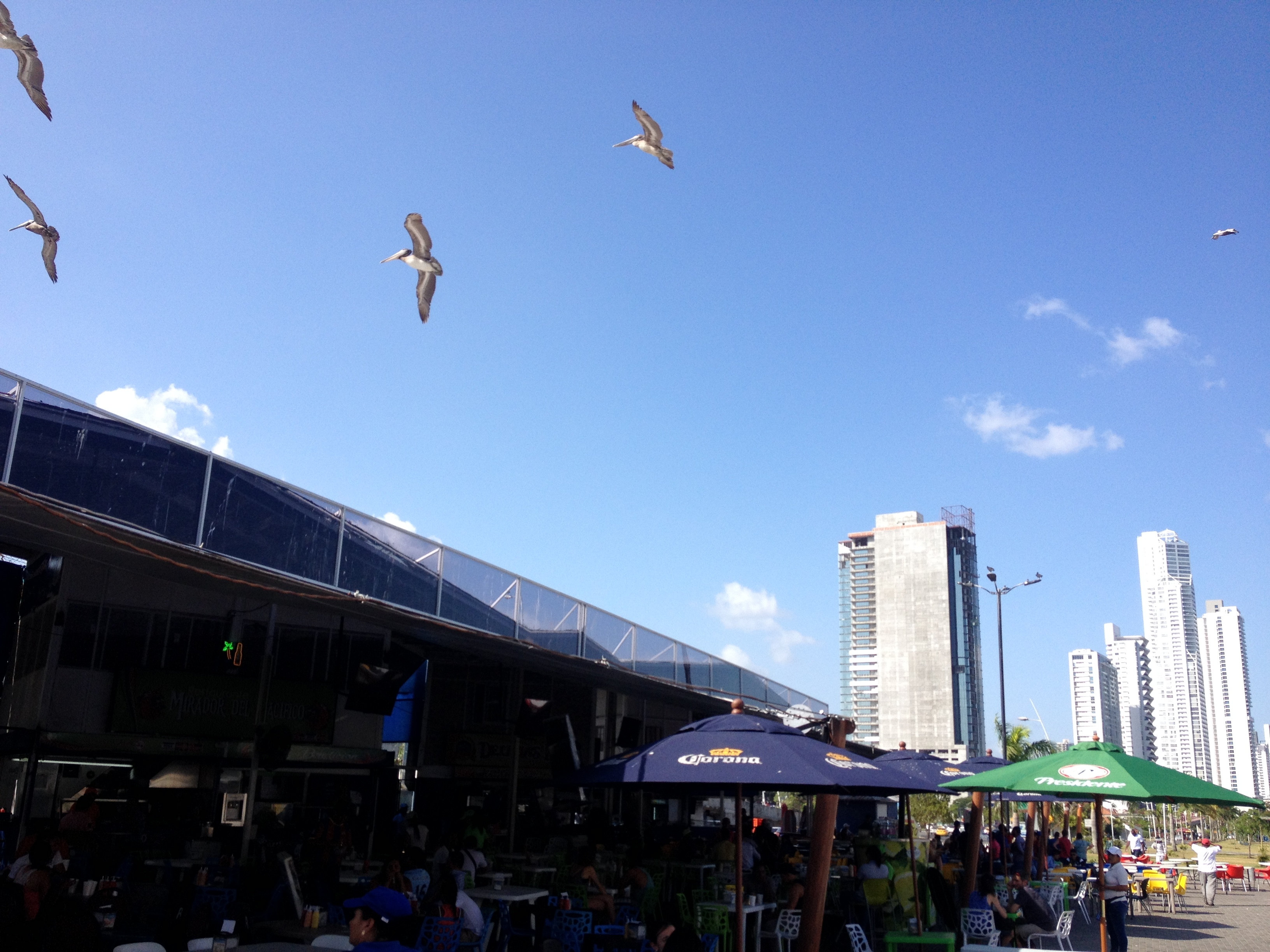 รูปถ่าย ปานามา(Panama) ปานามาซิตี(Panama City) 2015-03 226
