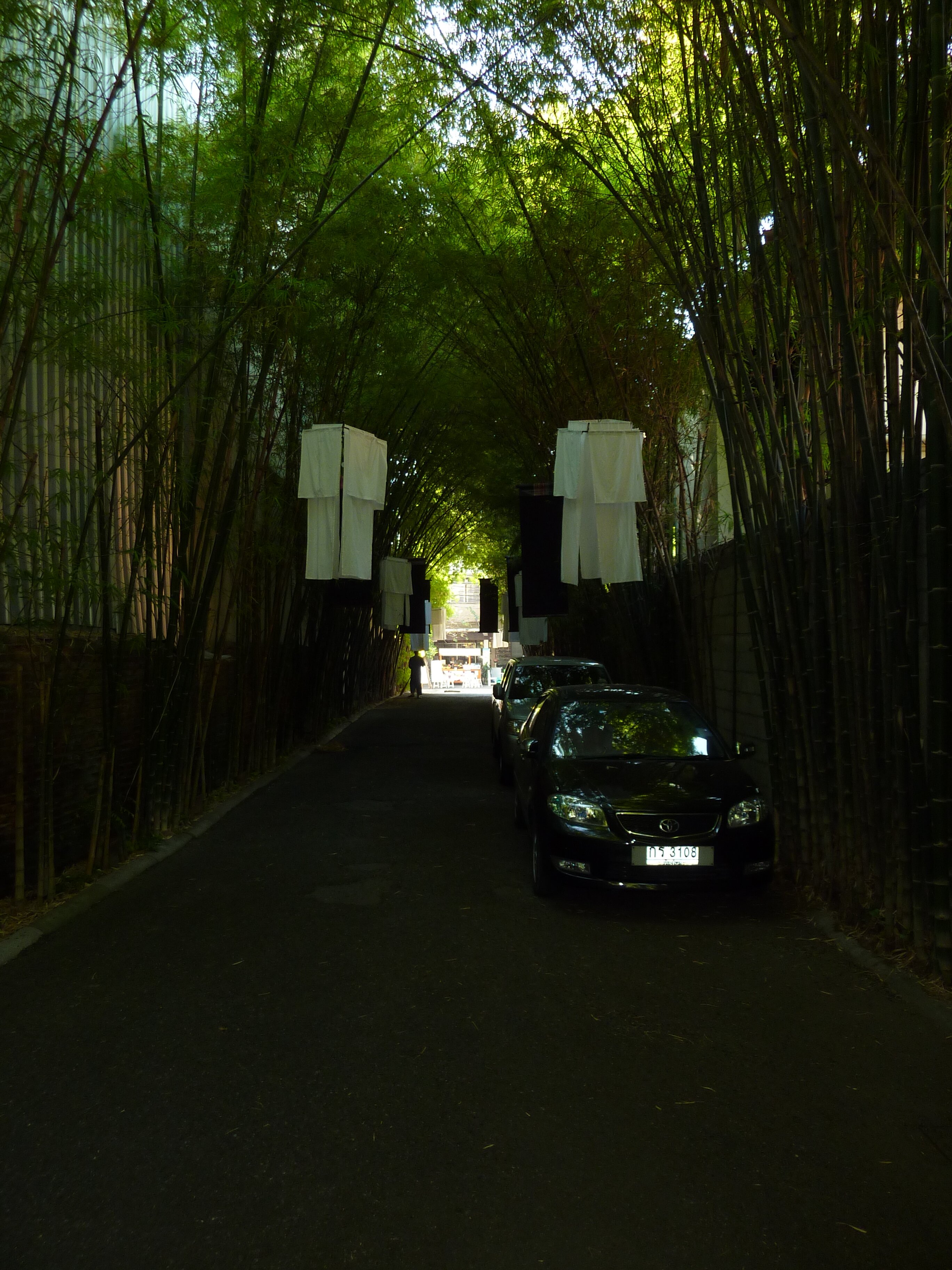 รูปถ่าย ไทย(Thailand) เชียงใหม่(Chiang Mai) ถนนราชดำเนิน(Rachadamnoen road) 2009-12 29
