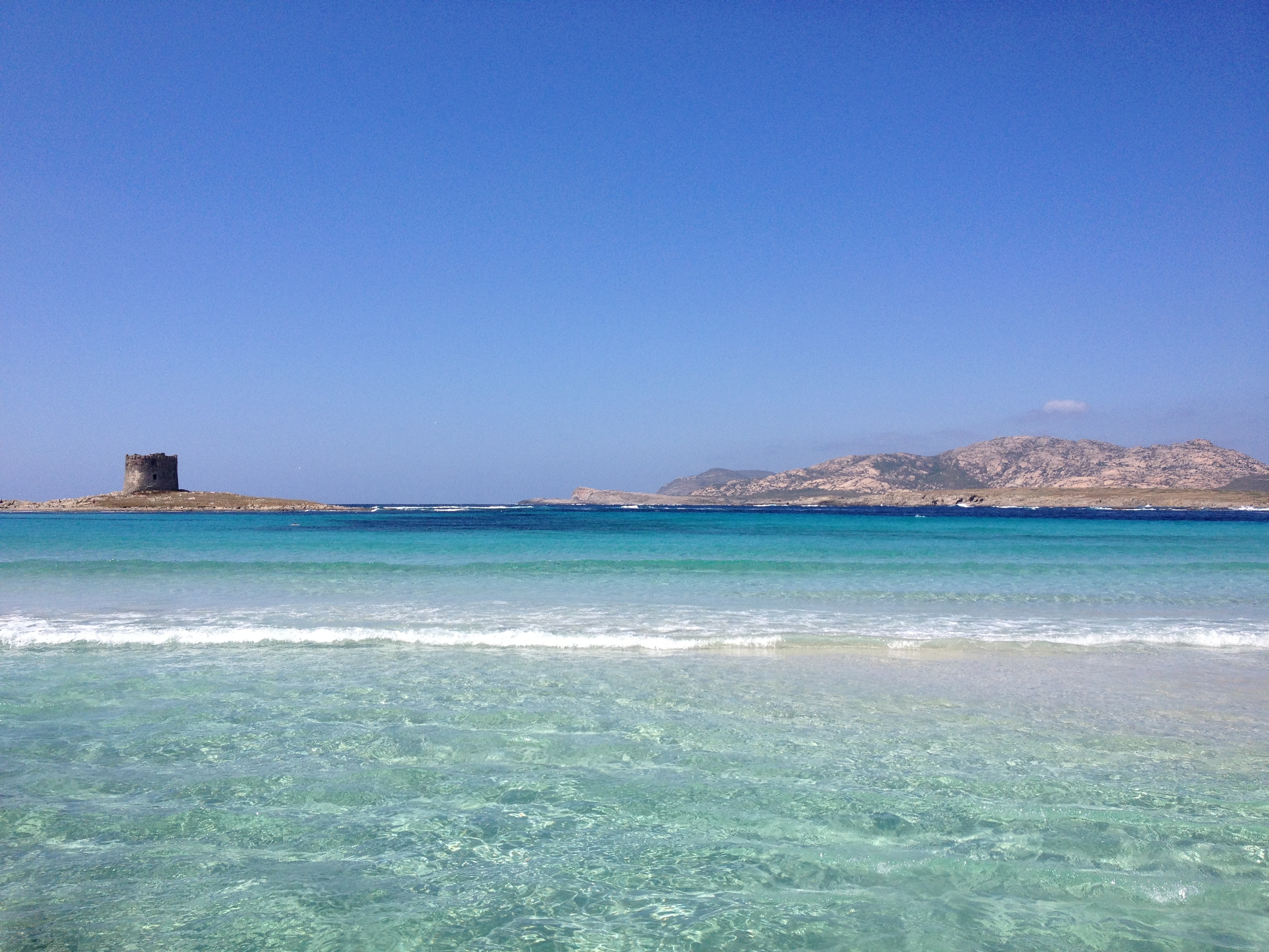 รูปถ่าย อิตาลี(Italy) ซาร์ดิเนีย(Sardinia) แหลมกาโปเดลฟัลโกเน(Capo del Falcone) 2015-06 9