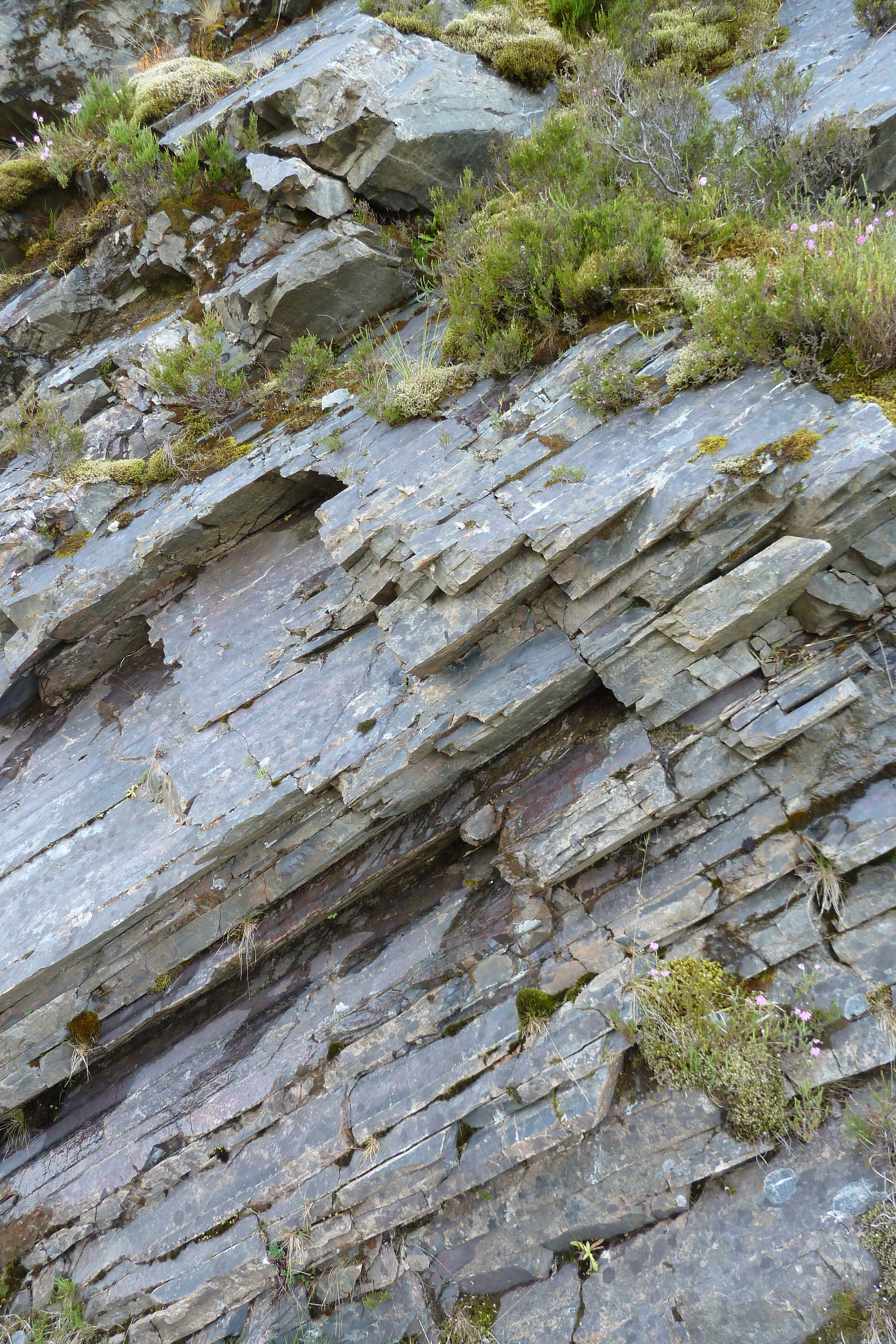 รูปถ่าย อังกฤษ(United Kingdom) เวสเตอร์รอสส์(Wester Ross) 2011-07 112
