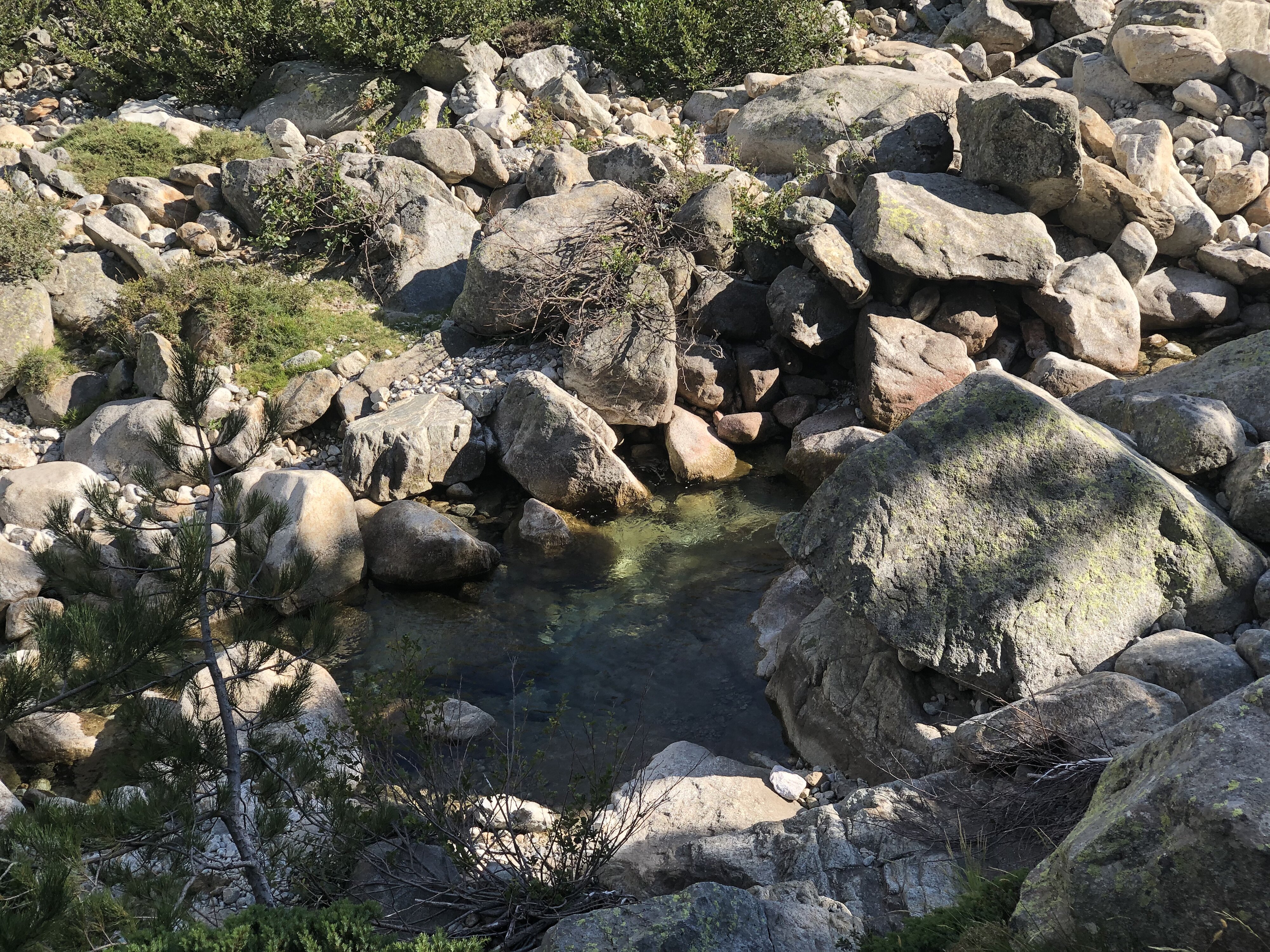 รูปถ่าย ฝรั่งเศส(France) คอร์สิคา(Corsica) หุบเขาลาเรสโตนีกา(La Restonica) 2020-07 107