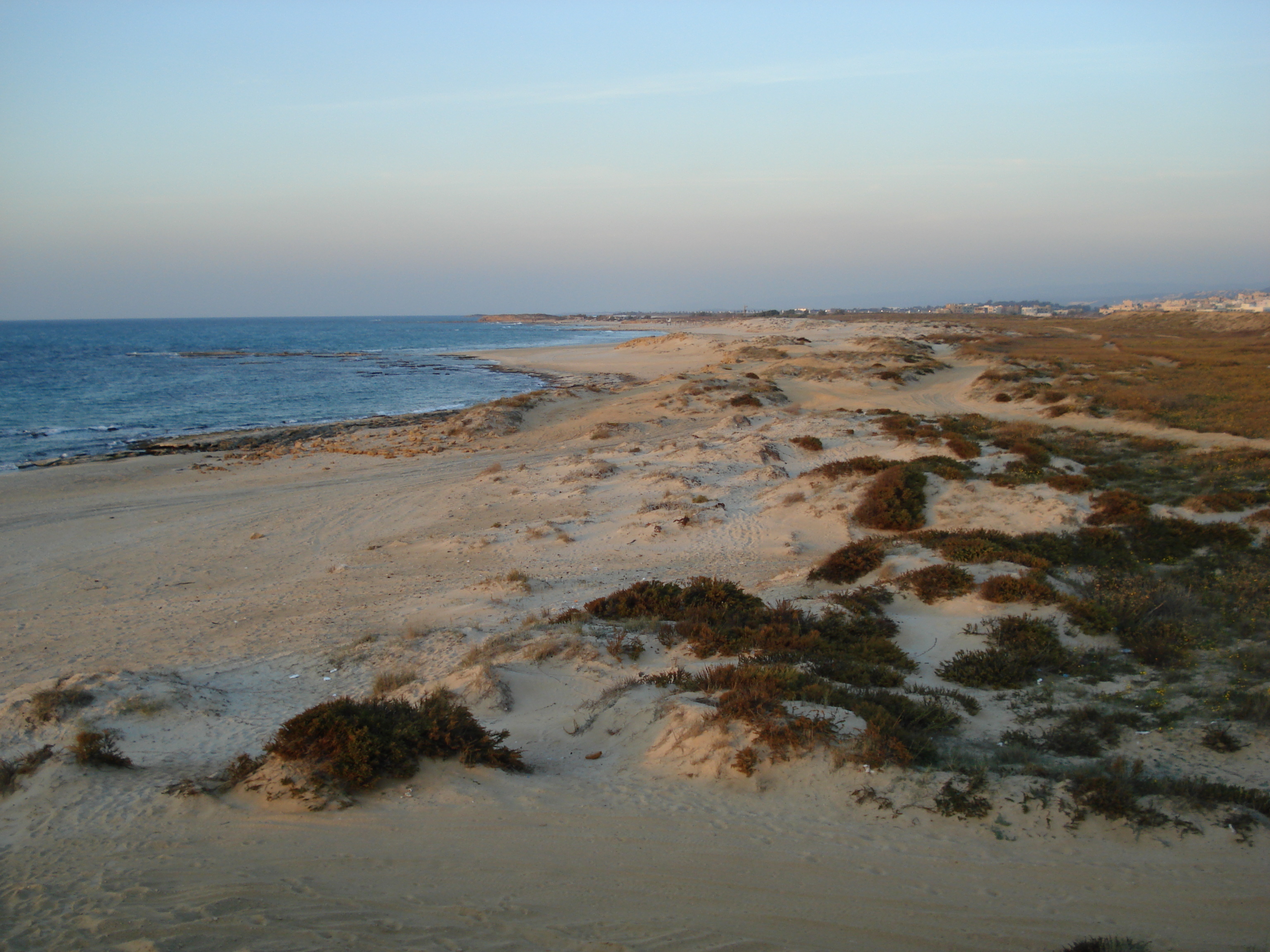 รูปถ่าย อิสราเอล(Israel) จากไฮฟาไปเทลอาวีฟ(From Haifa to Tel Aviv) 2006-12 10