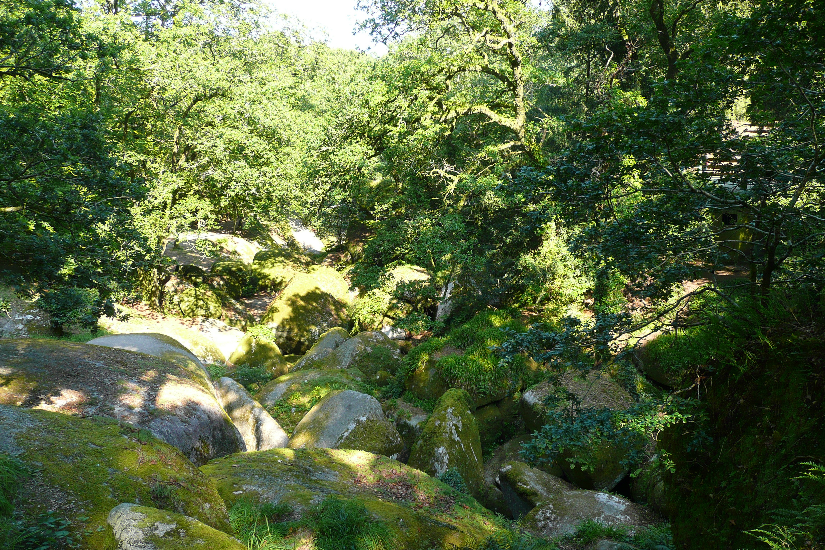 รูปถ่าย ฝรั่งเศส(France) อูแอลโกแอท(Huelgoat) 2007-08 116