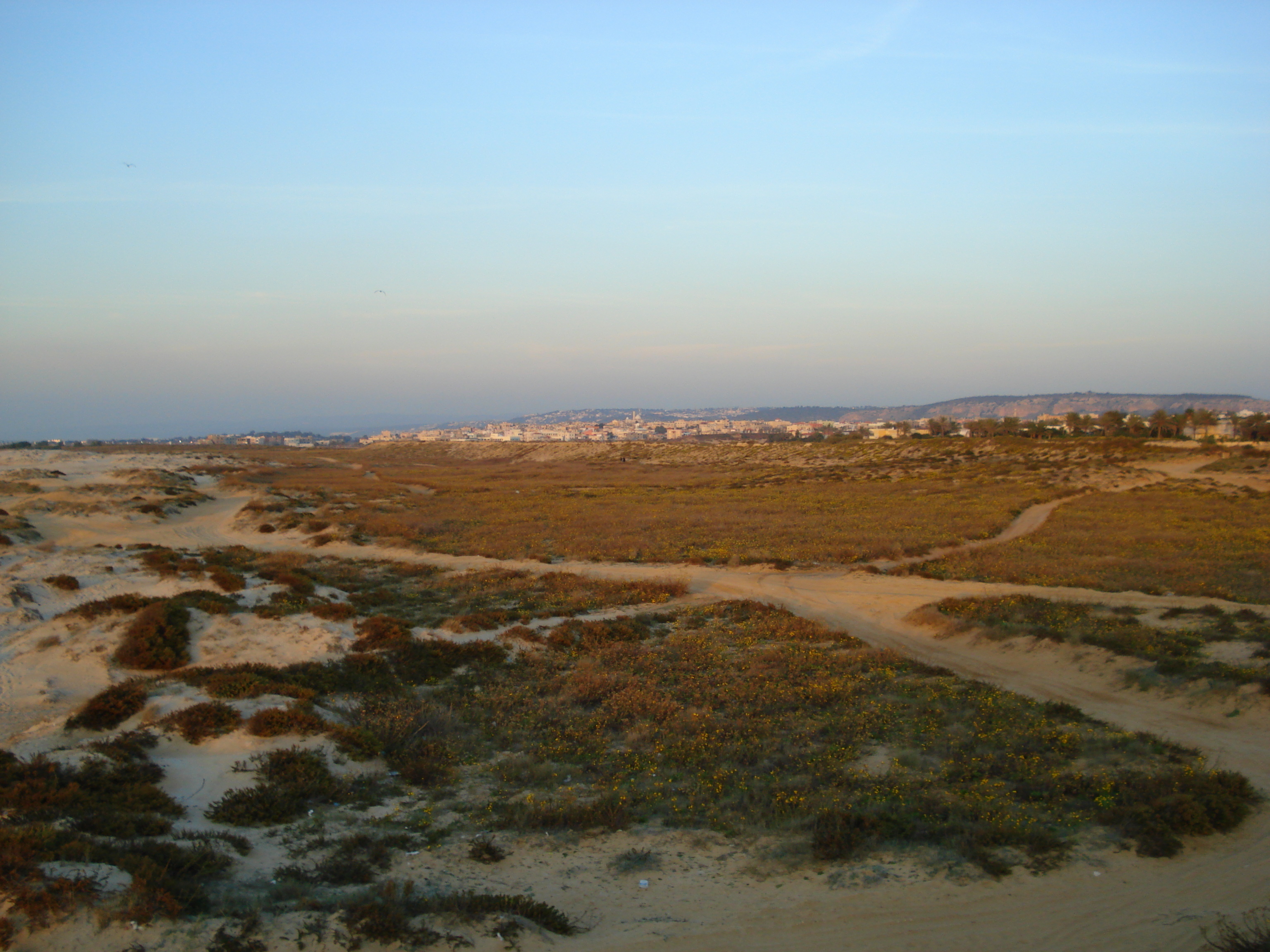 รูปถ่าย อิสราเอล(Israel) จากไฮฟาไปเทลอาวีฟ(From Haifa to Tel Aviv) 2006-12 74