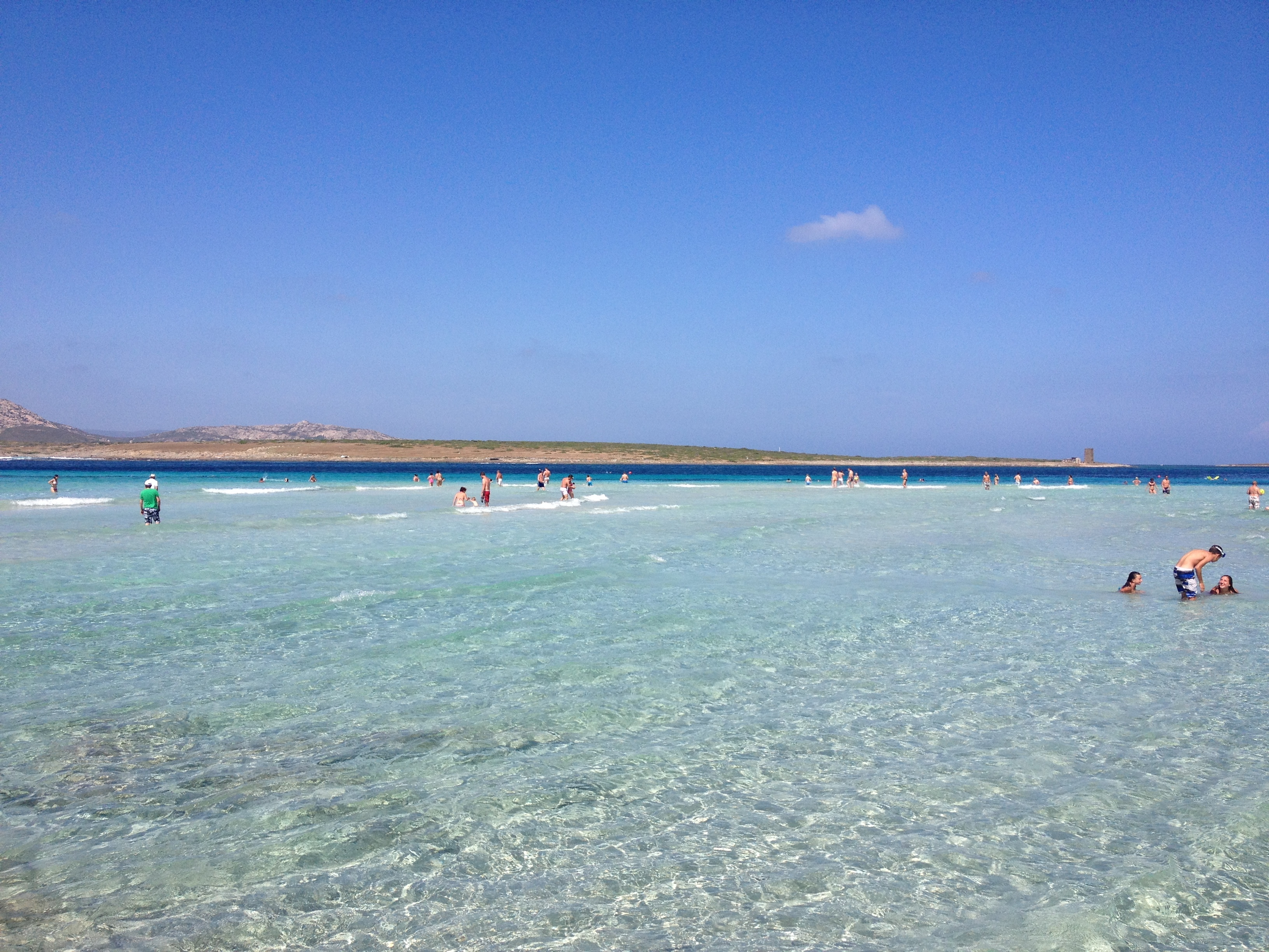 รูปถ่าย อิตาลี(Italy) ซาร์ดิเนีย(Sardinia) แหลมกาโปเดลฟัลโกเน(Capo del Falcone) 2015-06 44