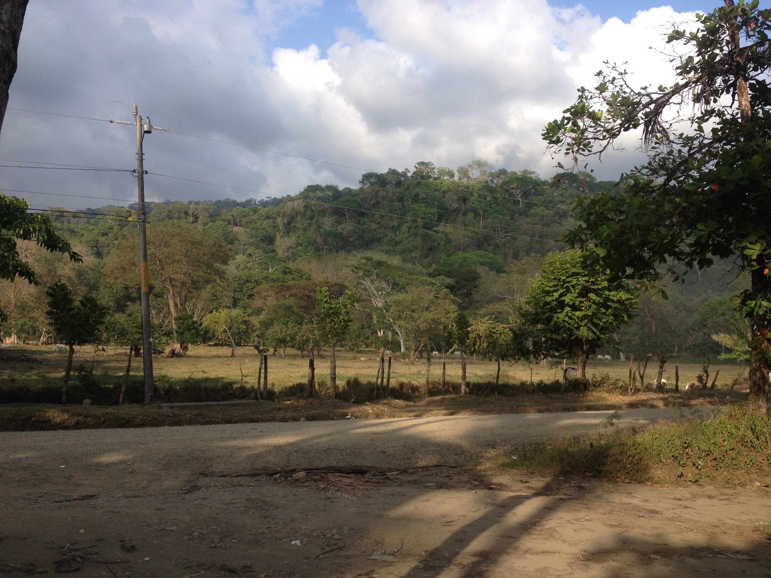 รูปถ่าย คอสตาริกา(Costa Rica) โดมินิกัล(Dominical) 2015-03 125