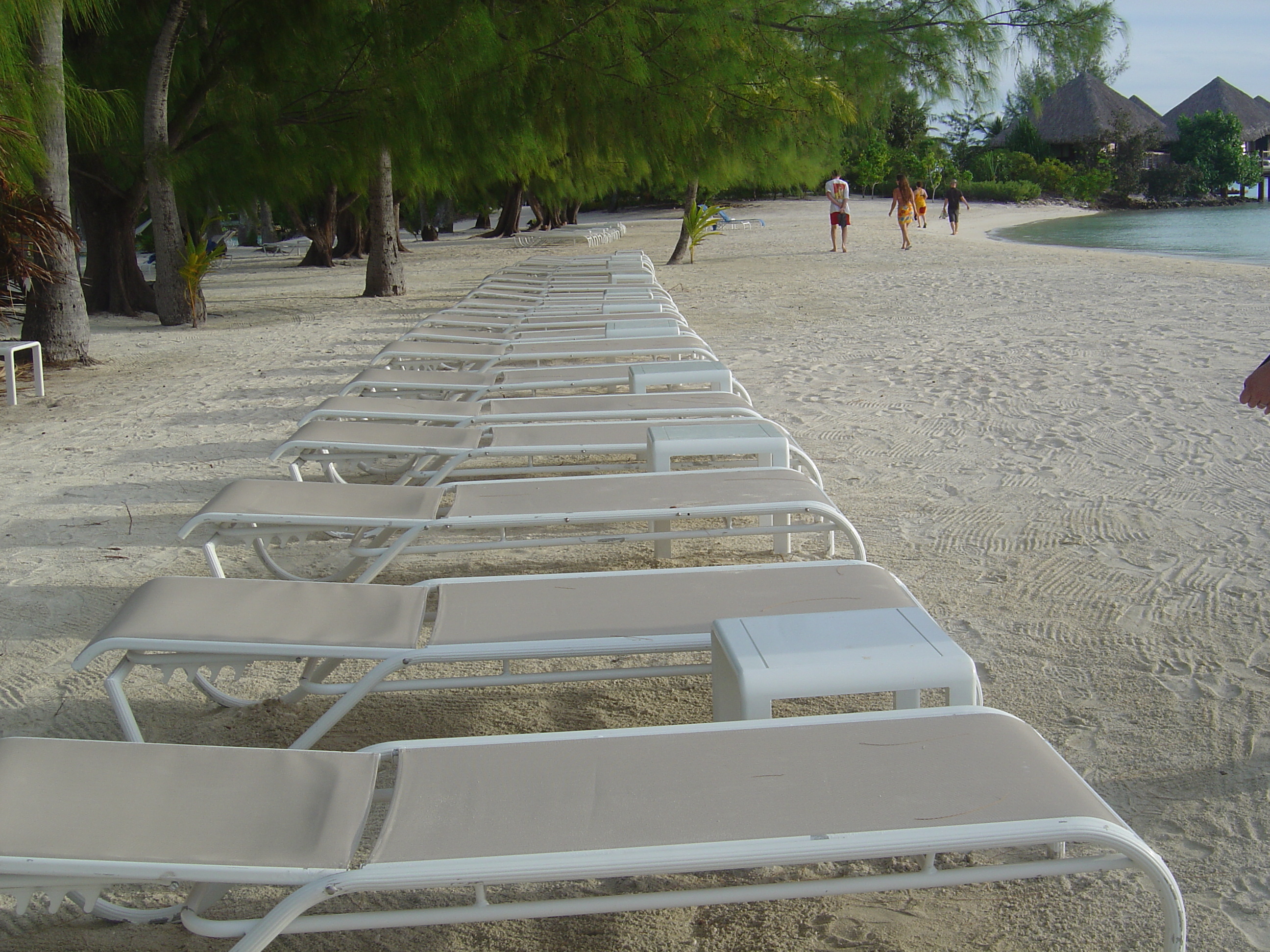 รูปถ่าย เฟรนช์โพลี่นีเซีย(Polynesia) โรงแรมเลอเมอริเดียน โบราโบรา(Meridien Bora Bora Hotel) 2006-04 82