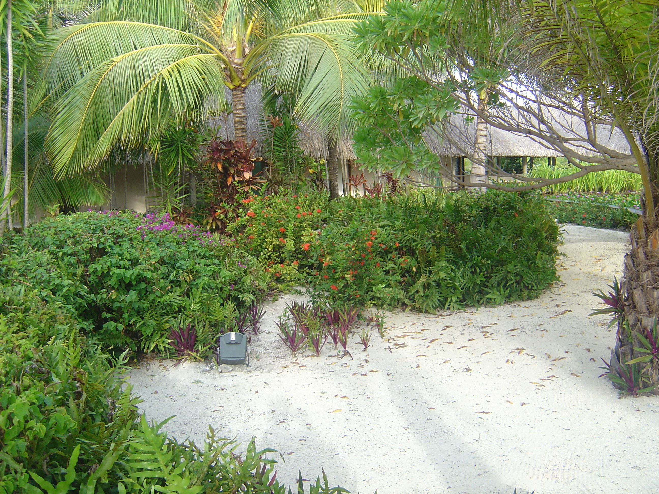 รูปถ่าย เฟรนช์โพลี่นีเซีย(Polynesia) โรงแรมเลอเมอริเดียน โบราโบรา(Meridien Bora Bora Hotel) 2006-04 124