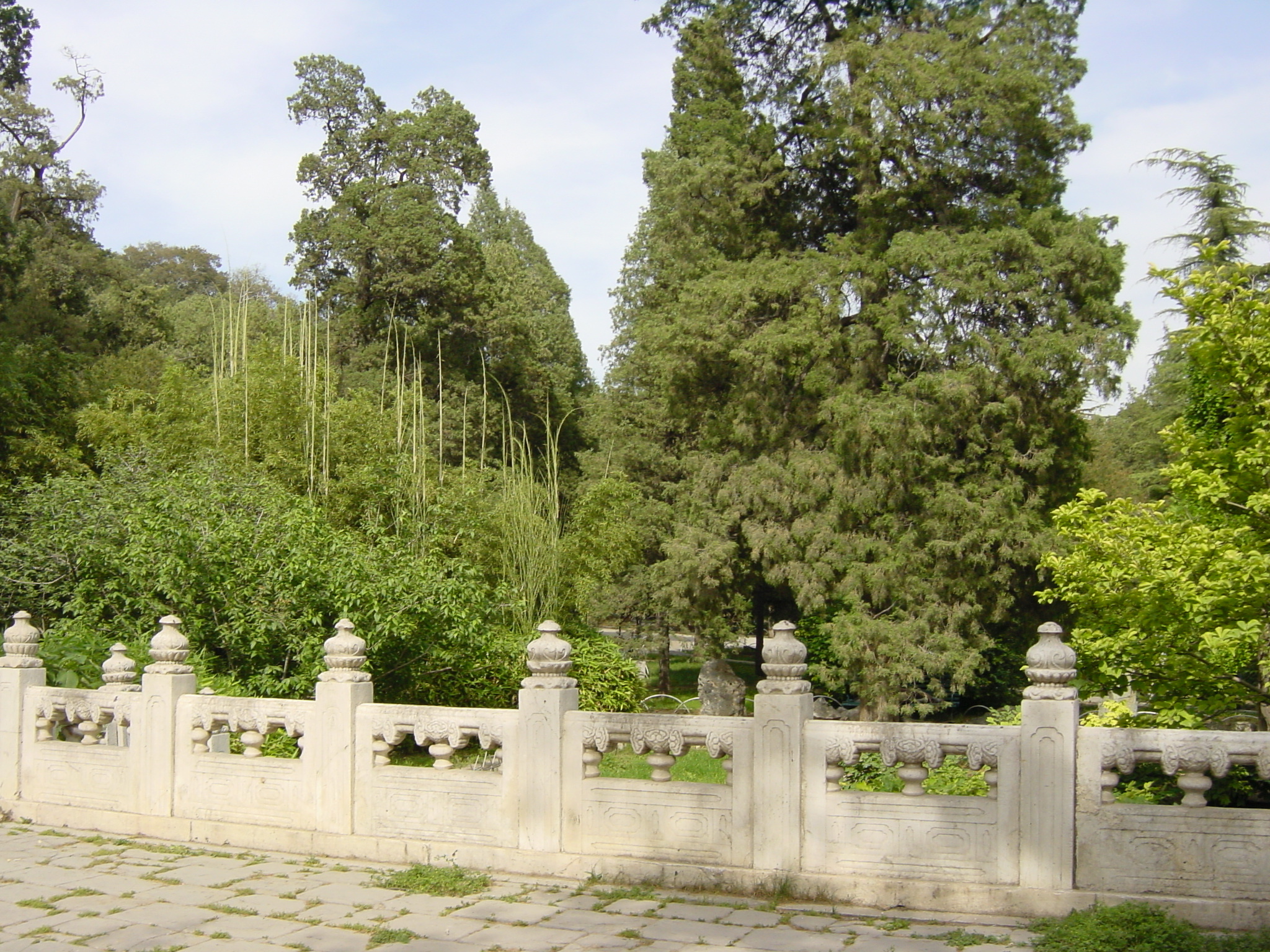 รูปถ่าย จีน(China) ปักกิ่ง(Beijing) สวนสาธารณะจิ่งซาน(Beihai Park) 2002-05 13