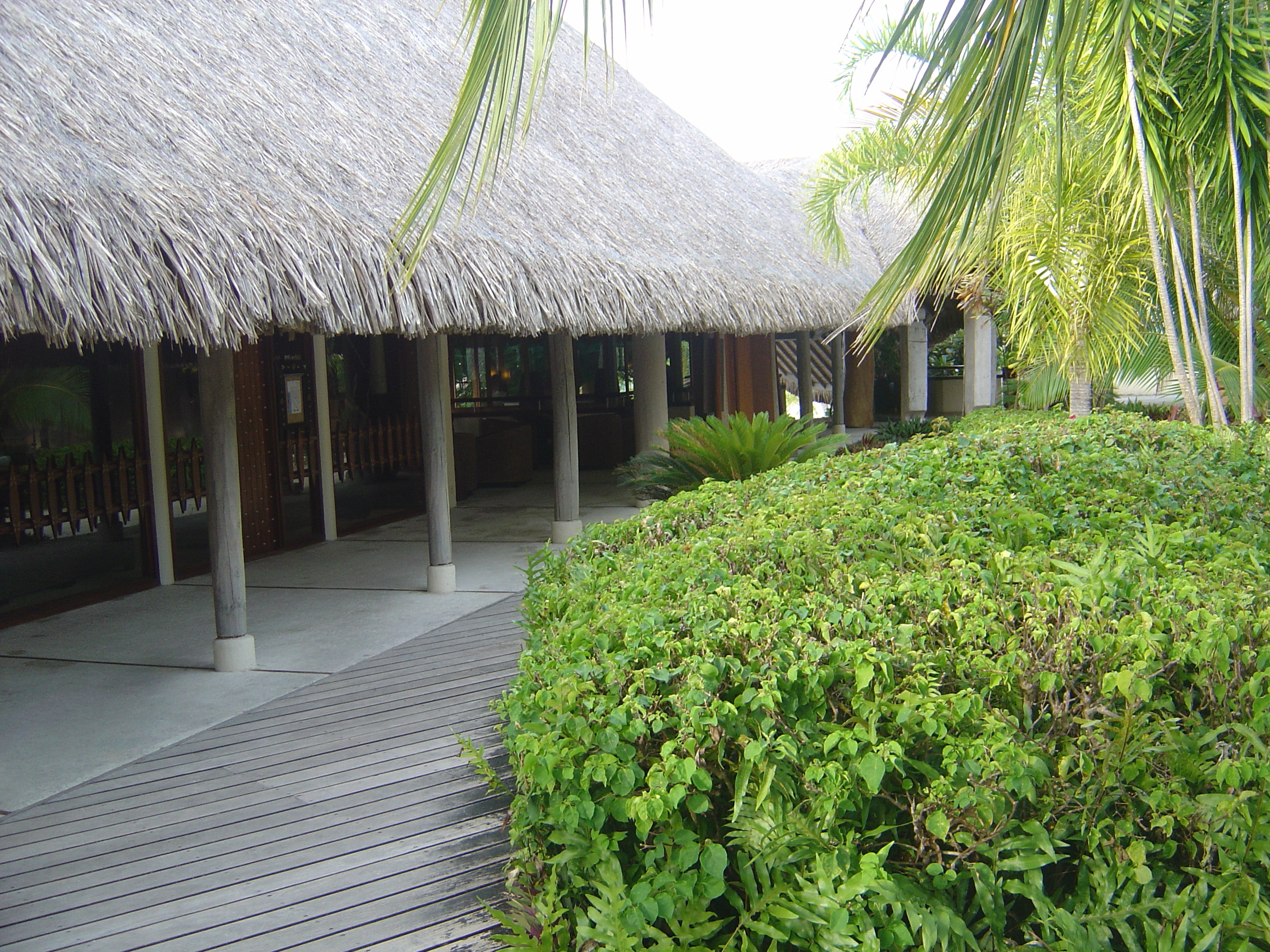รูปถ่าย เฟรนช์โพลี่นีเซีย(Polynesia) โรงแรมเลอเมอริเดียน โบราโบรา(Meridien Bora Bora Hotel) 2006-04 137