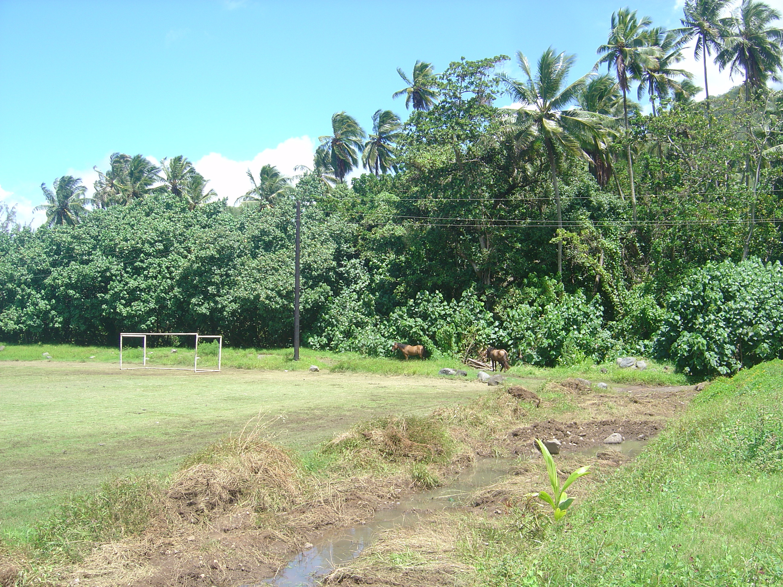 รูปถ่าย เฟรนช์โพลี่นีเซีย(Polynesia) หมู่เกาะมาร์เคซัส(Marquises) 2006-04 37