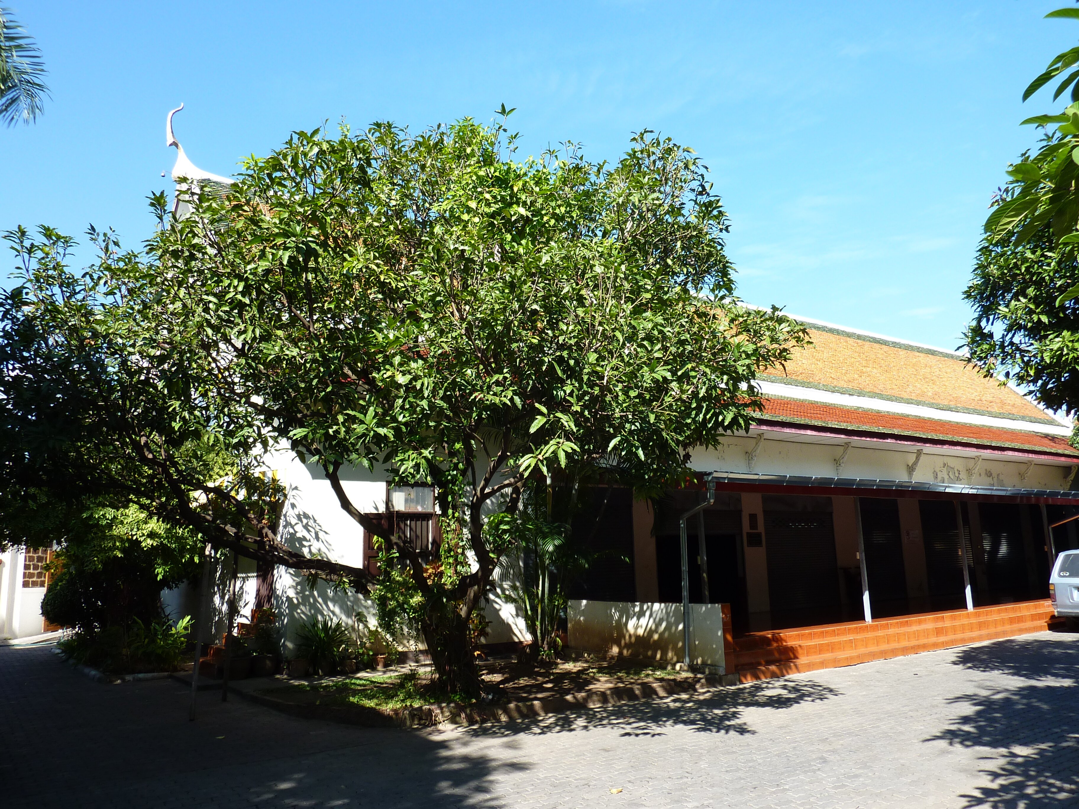 รูปถ่าย ไทย(Thailand) เชียงใหม่(Chiang Mai) ถนนราชดำเนิน(Rachadamnoen road) 2009-12 23
