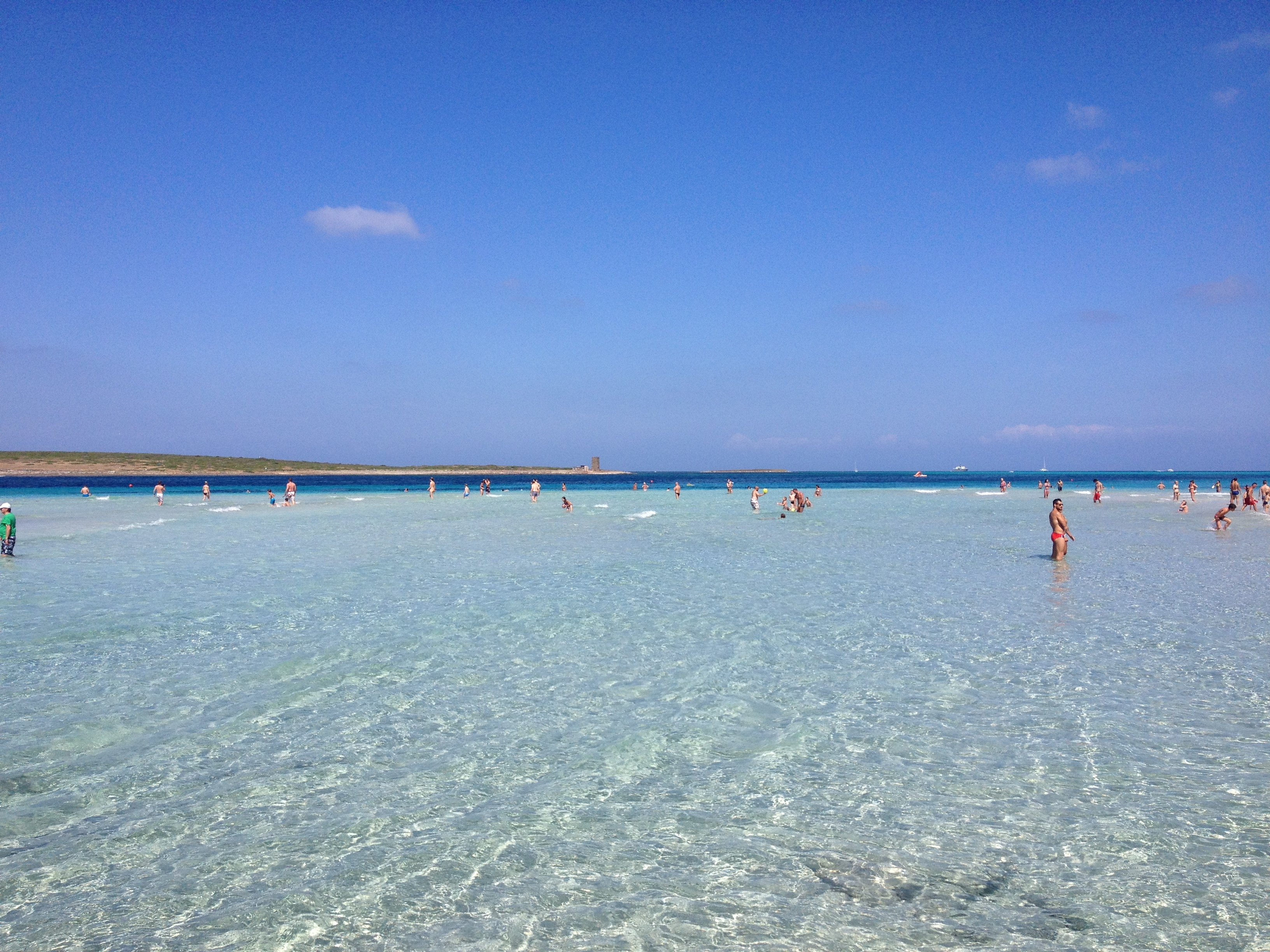 รูปถ่าย อิตาลี(Italy) ซาร์ดิเนีย(Sardinia) แหลมกาโปเดลฟัลโกเน(Capo del Falcone) 2015-06 72
