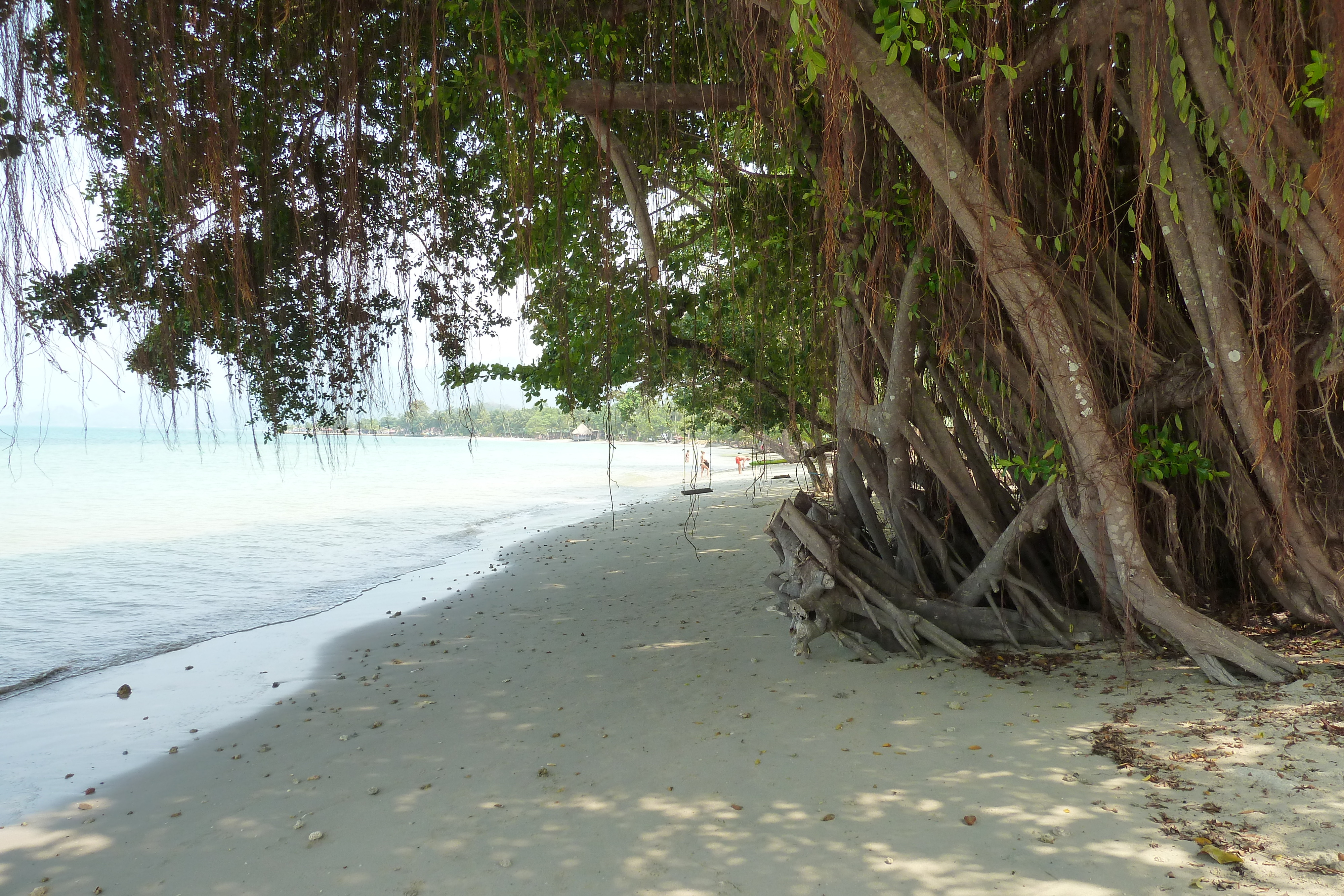 รูปถ่าย ไทย(Thailand) เกาะช้าง(Ko Chang) หาดคลองพร้าว(Klong Prao beach) 2011-02 104